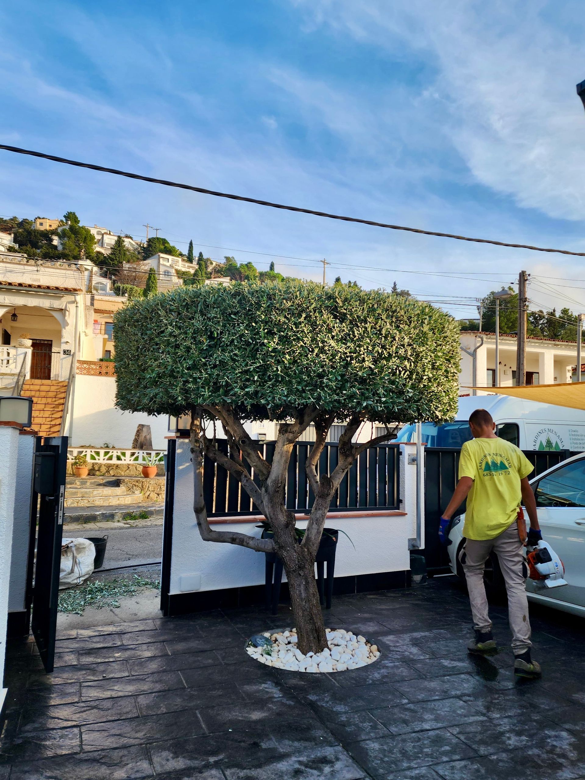 Un hombre está usando una cortadora de césped para cortar el césped en un parque.