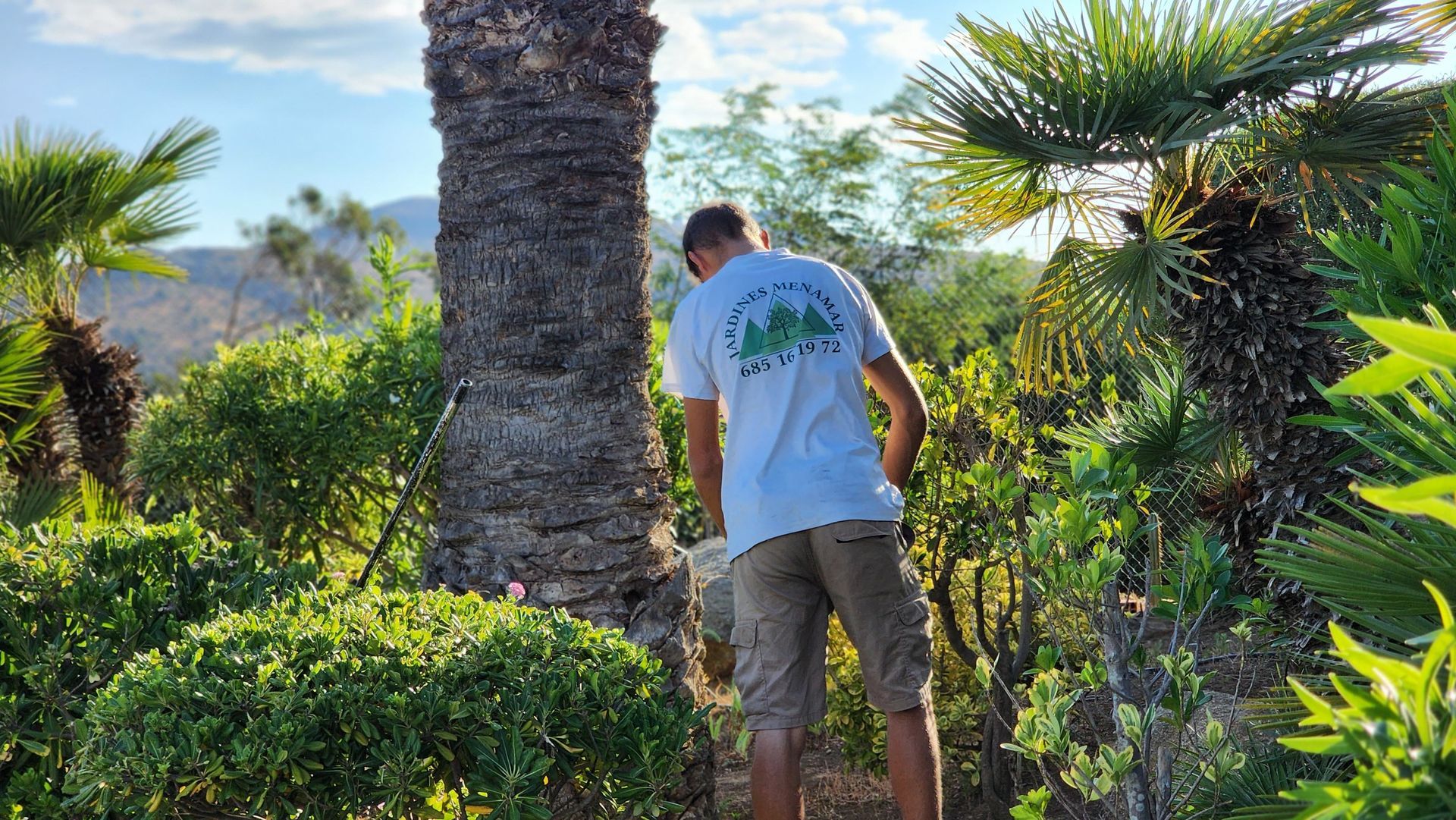 Un hombre está cortando un arbusto con un par de tijeras.