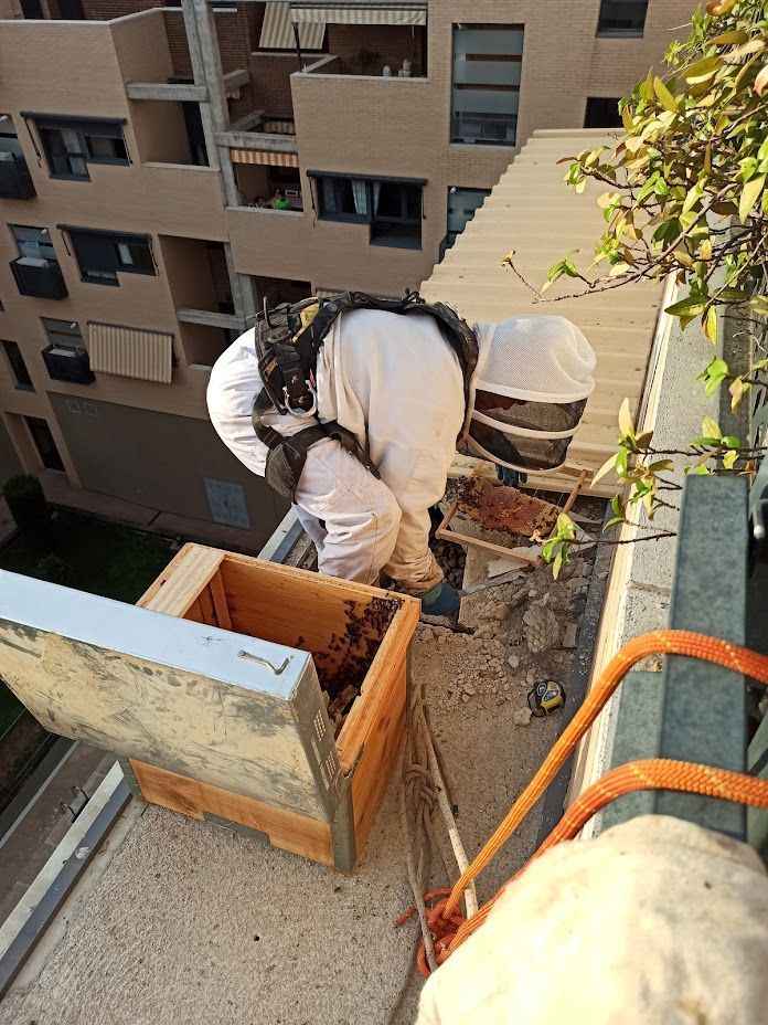 Un hombre con un traje de abeja está trabajando en una colmena en un balcón.