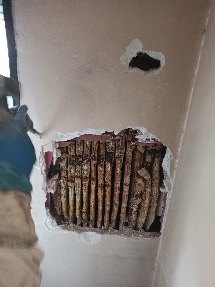 Una persona está cortando un agujero en una pared con un martillo.