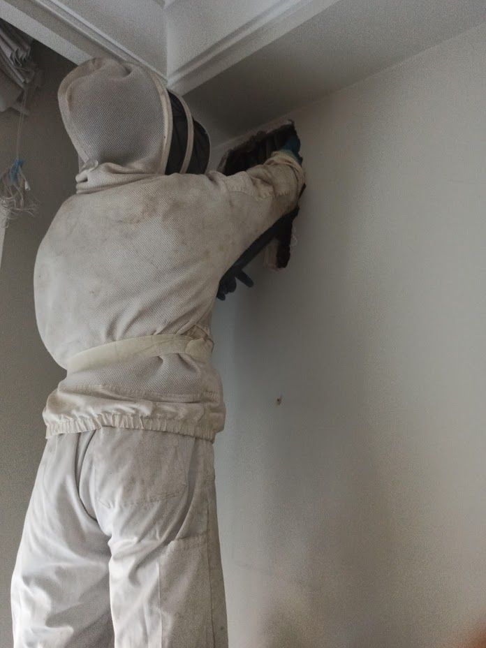 Un hombre con un traje de abeja está trabajando en una pared.