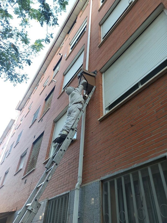 Un grupo de apicultores está trabajando en una colmena.