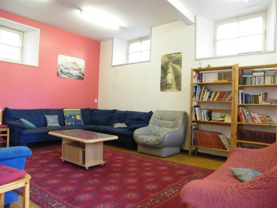 Un salon avec un canapé d'angle bleu, un fauteuil gris, un tapis rouge et une haute bibliothèque en bois contre un mur blanc.