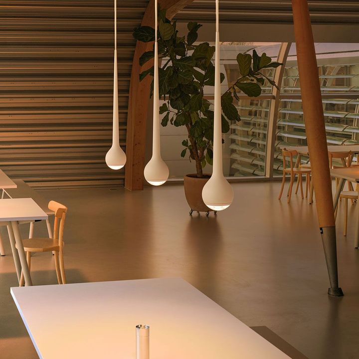 ein Raum mit einem Tisch und Stühlen und einer Pflanze