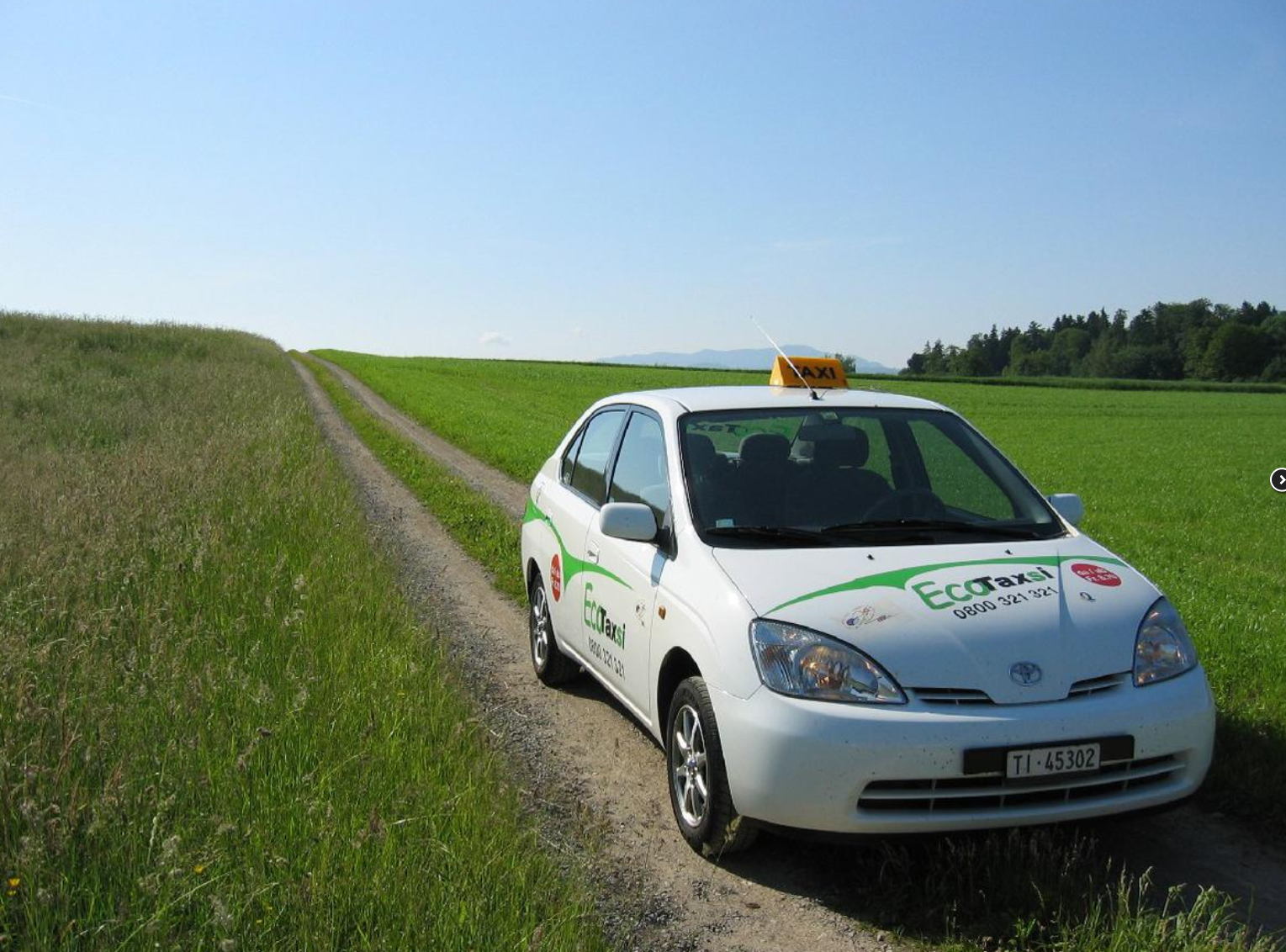 ECOTAXI società cooperativa ecotrasporti - Auto su prato