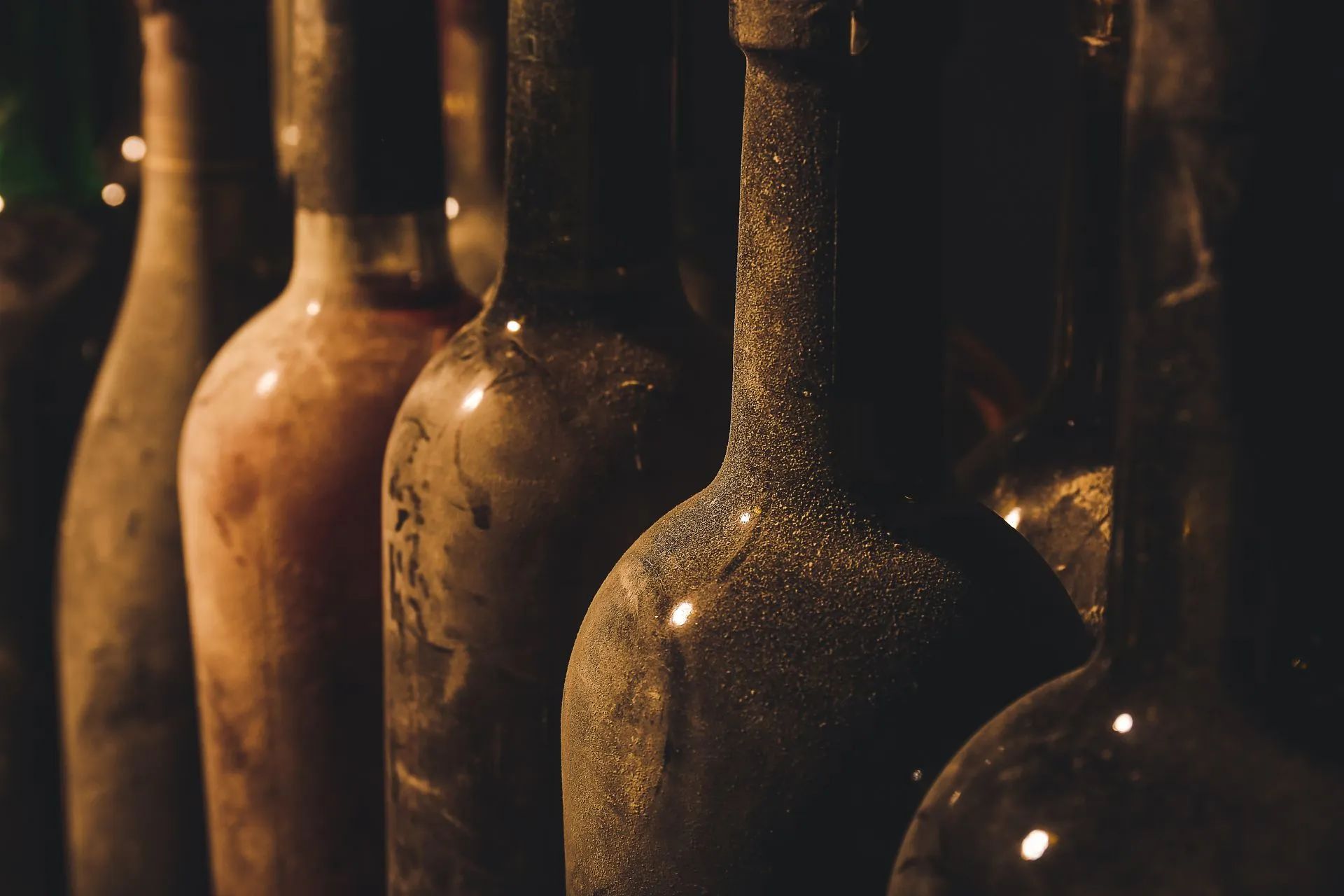 Bouteilles de vin poussiéreuses.