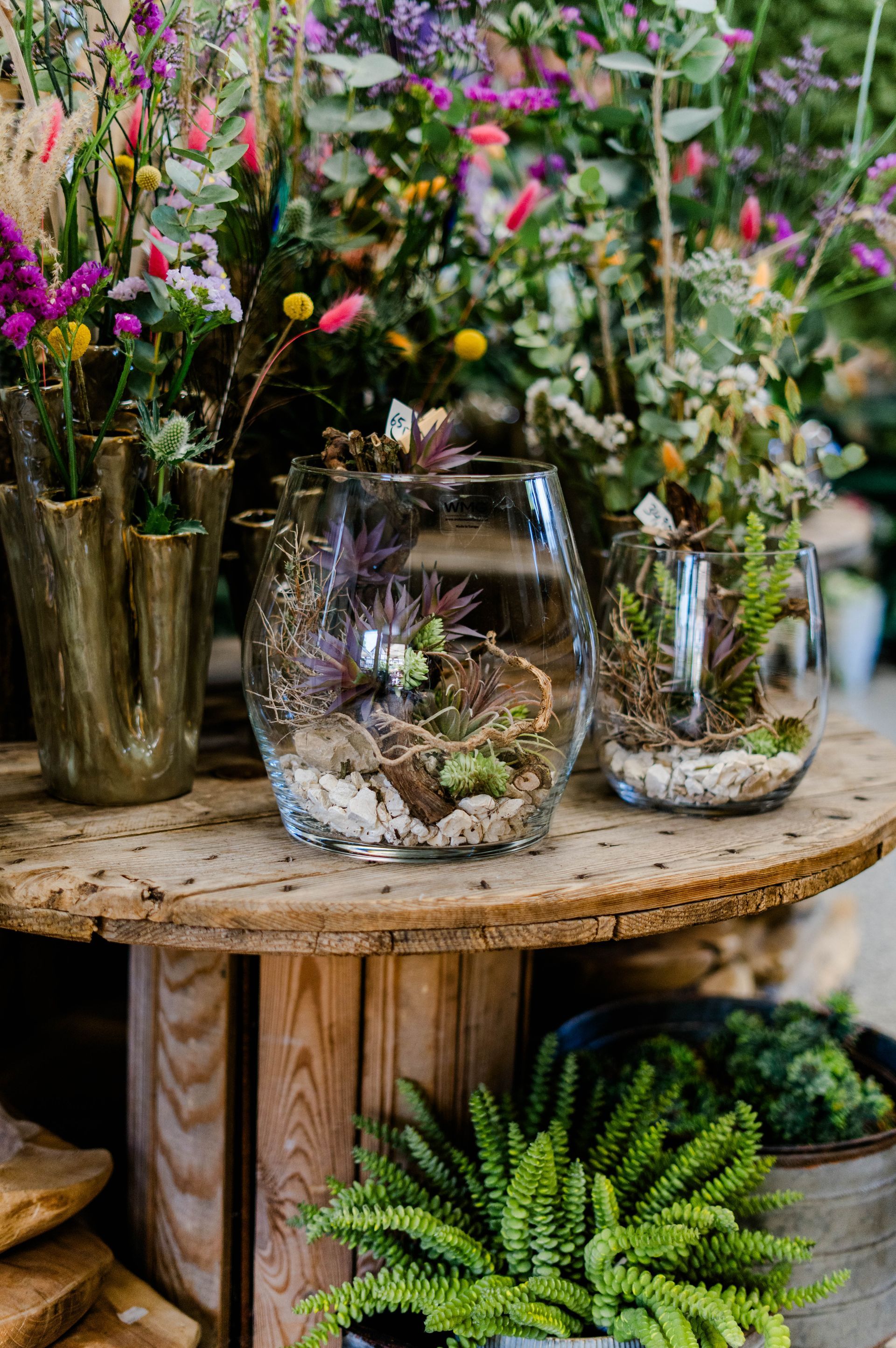 Rustikaler Holztisch mit Glas-Terrarien und Topffarnen in einem farbenfrohen Blumenladen-Schaufenster
