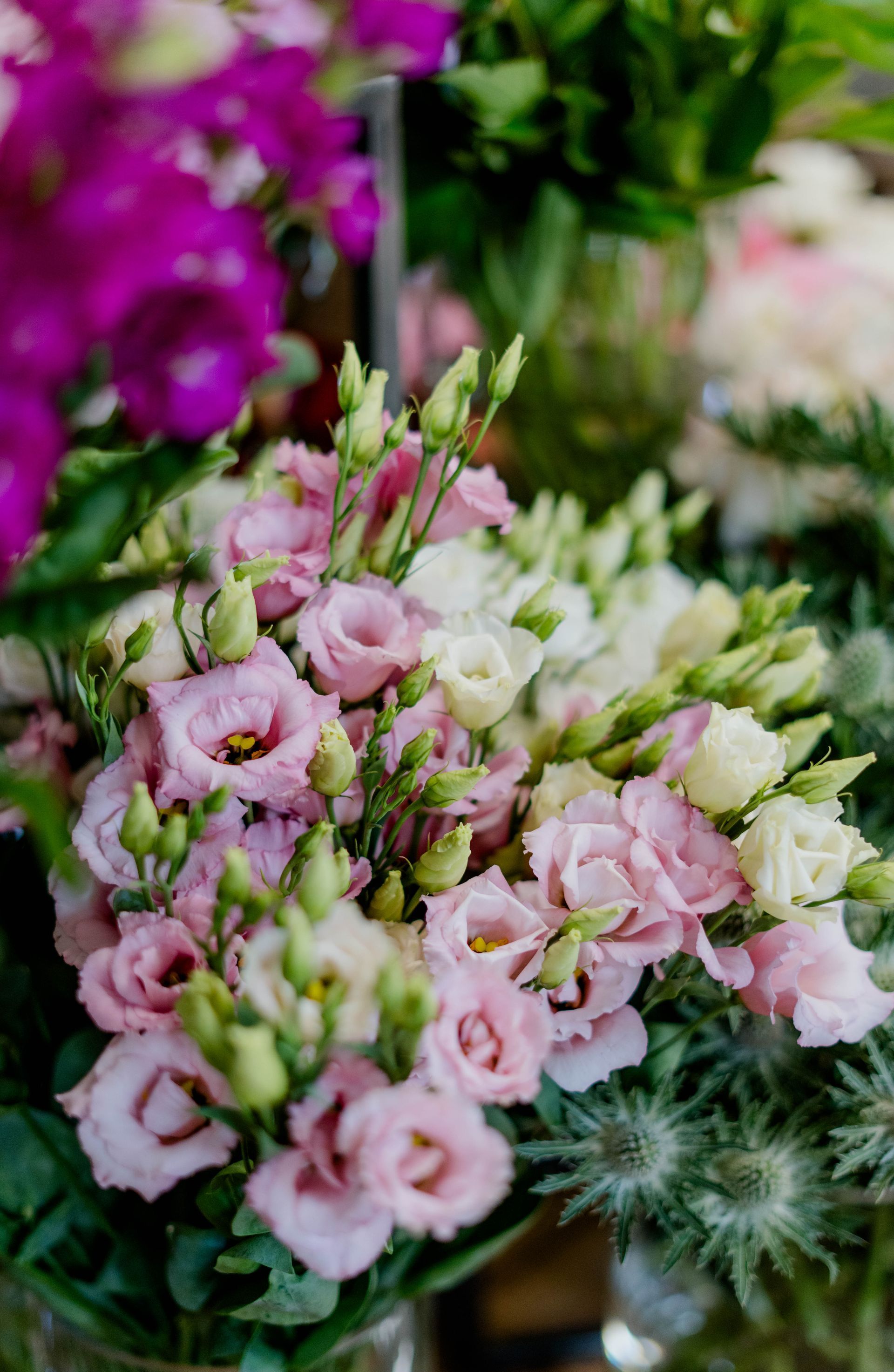 Strauß aus rosa und weißen Lisianthusblüten mit grünem Laub