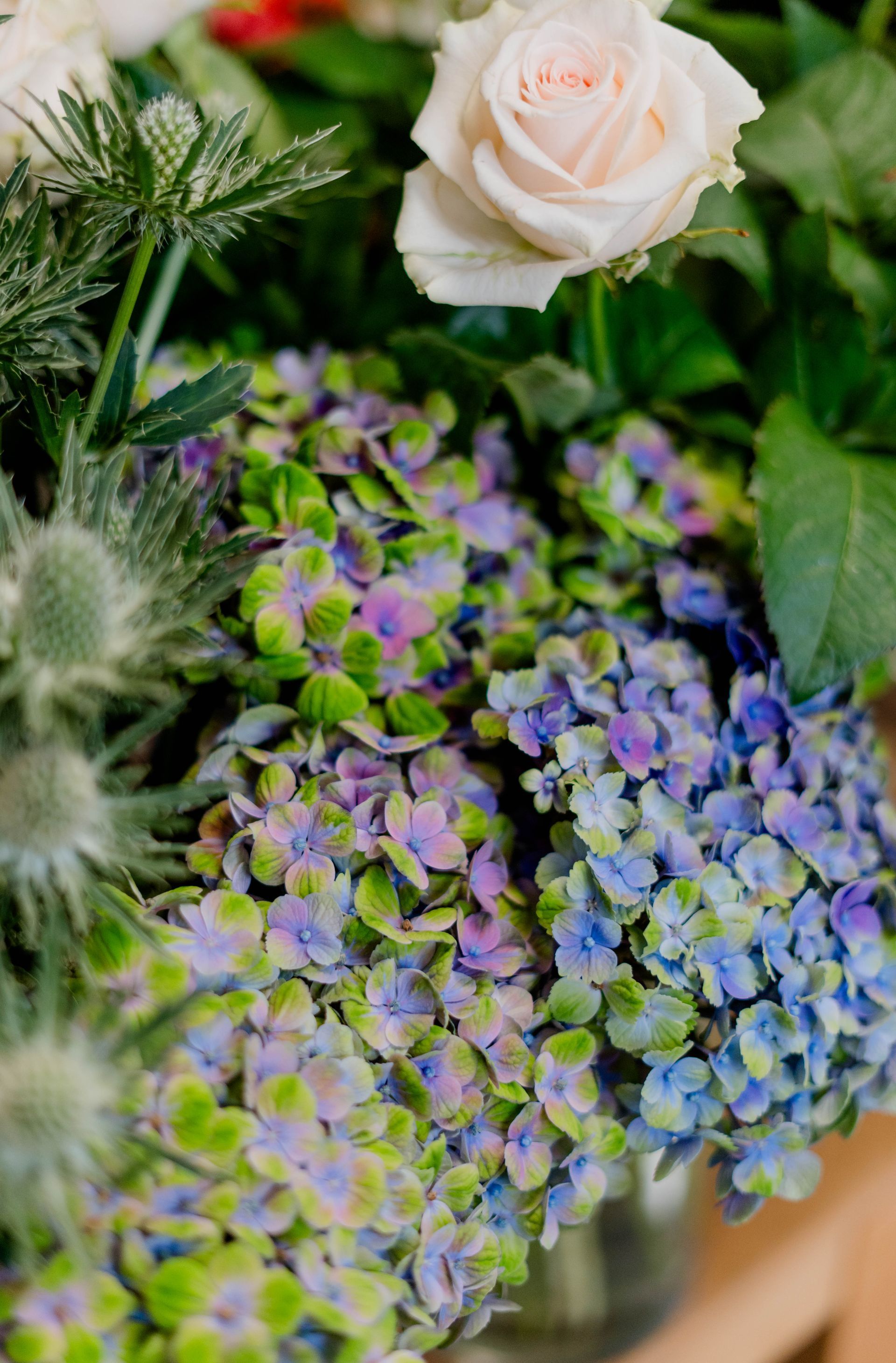 Nahaufnahme eines Blumenarrangements mit einer weißen Rose und violetten Hortensien inmitten grünen Laubs