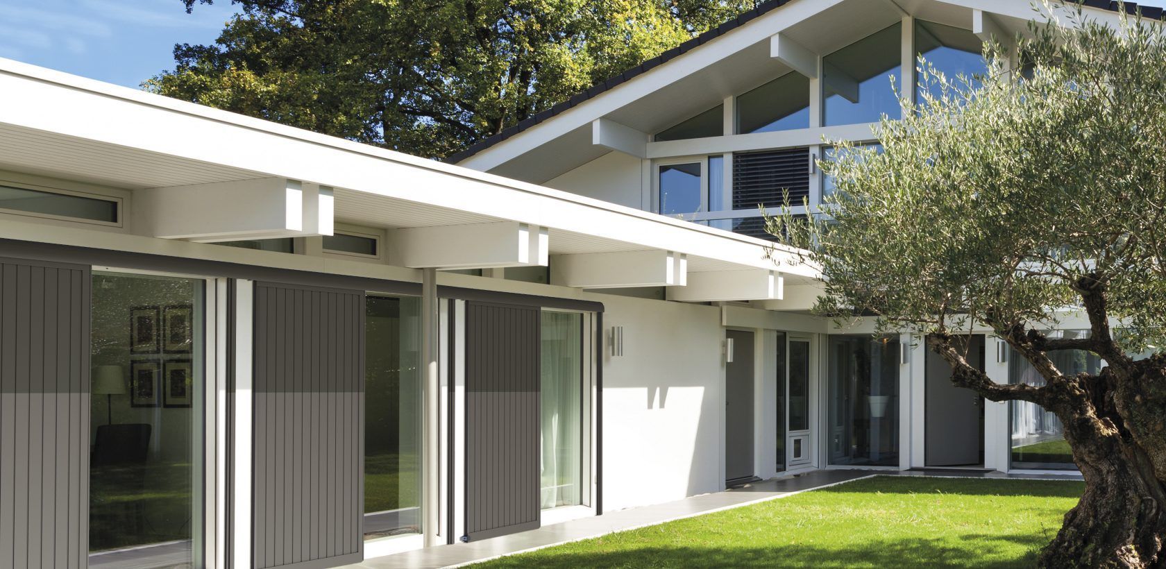 Maison blanche moderne avec des volets gris foncé et un olivier devant.