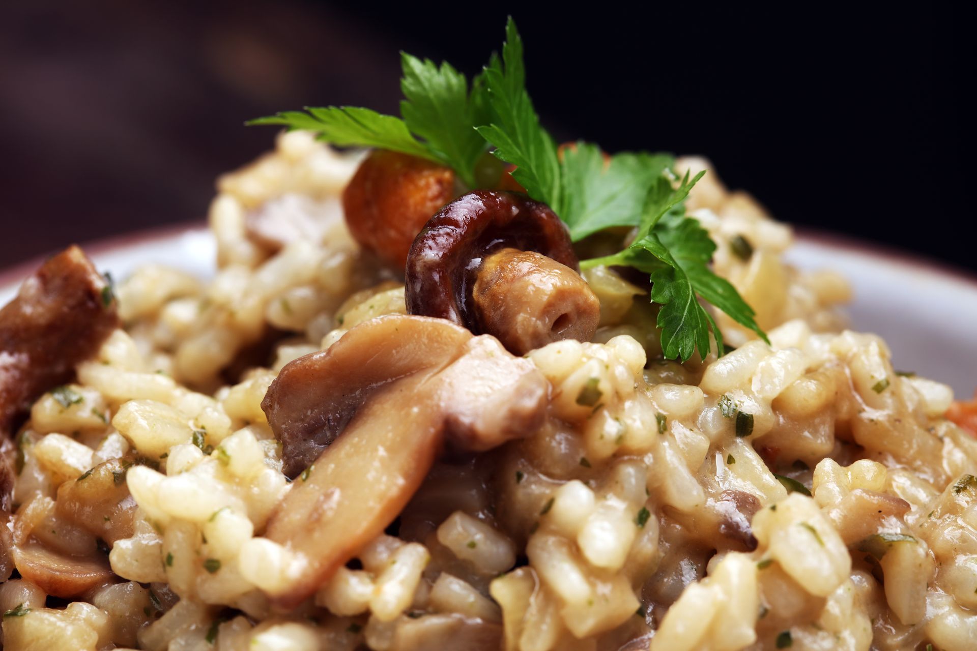Risotto aux champignons garni de persil frais sur une assiette blanche