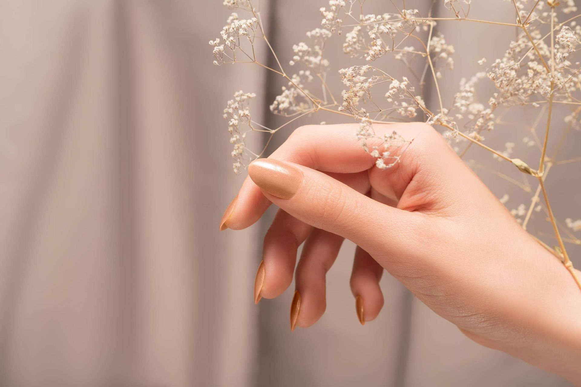 Un primer plano de la mano de una mujer sosteniendo una flor.