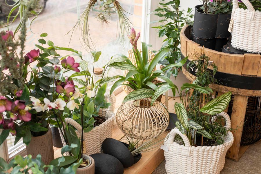 Bloom Finger Floristik Jessica Finger in Rehna Floristik 11