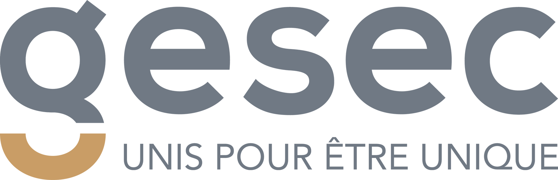 Logo Gesec