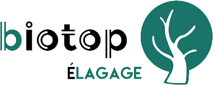 Entreprise Biotop Élagage à Cintegabelle