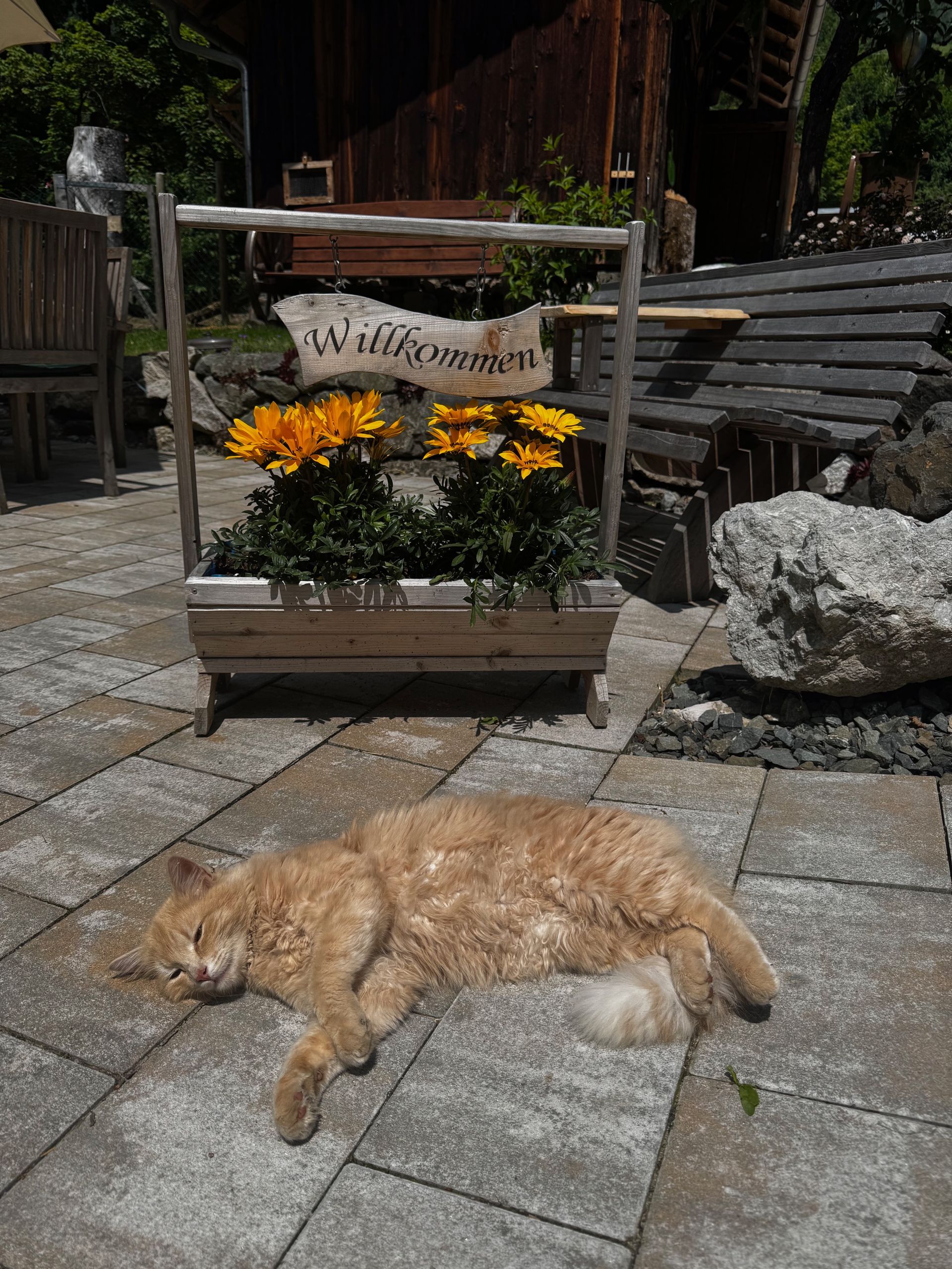Ein herzliches Willkommen im Chalet – inklusive Sonnenplatz für unsere flauschige Gastgeberkatze
