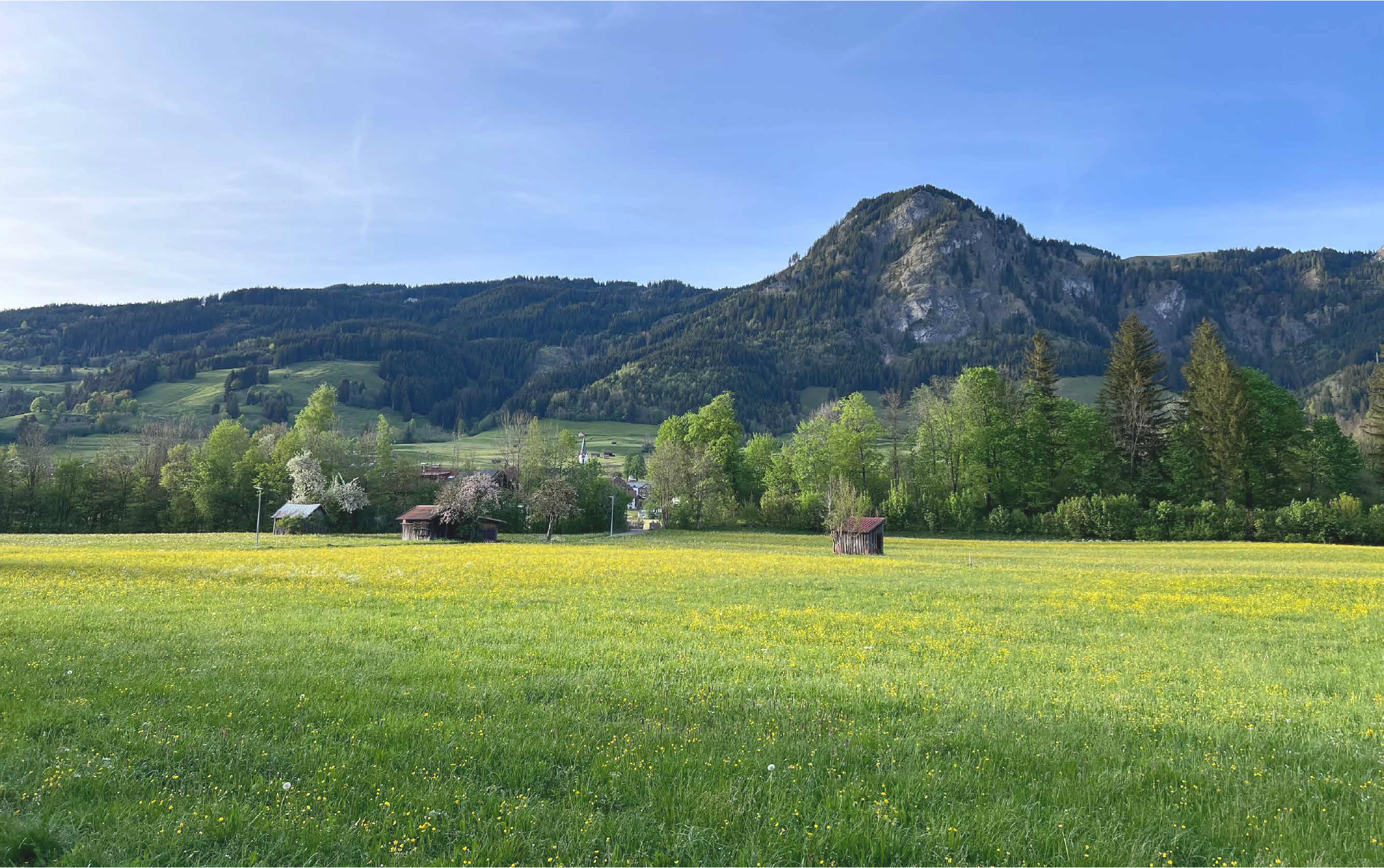 Eine große Wiese mit einem Berg im Hintergrund.