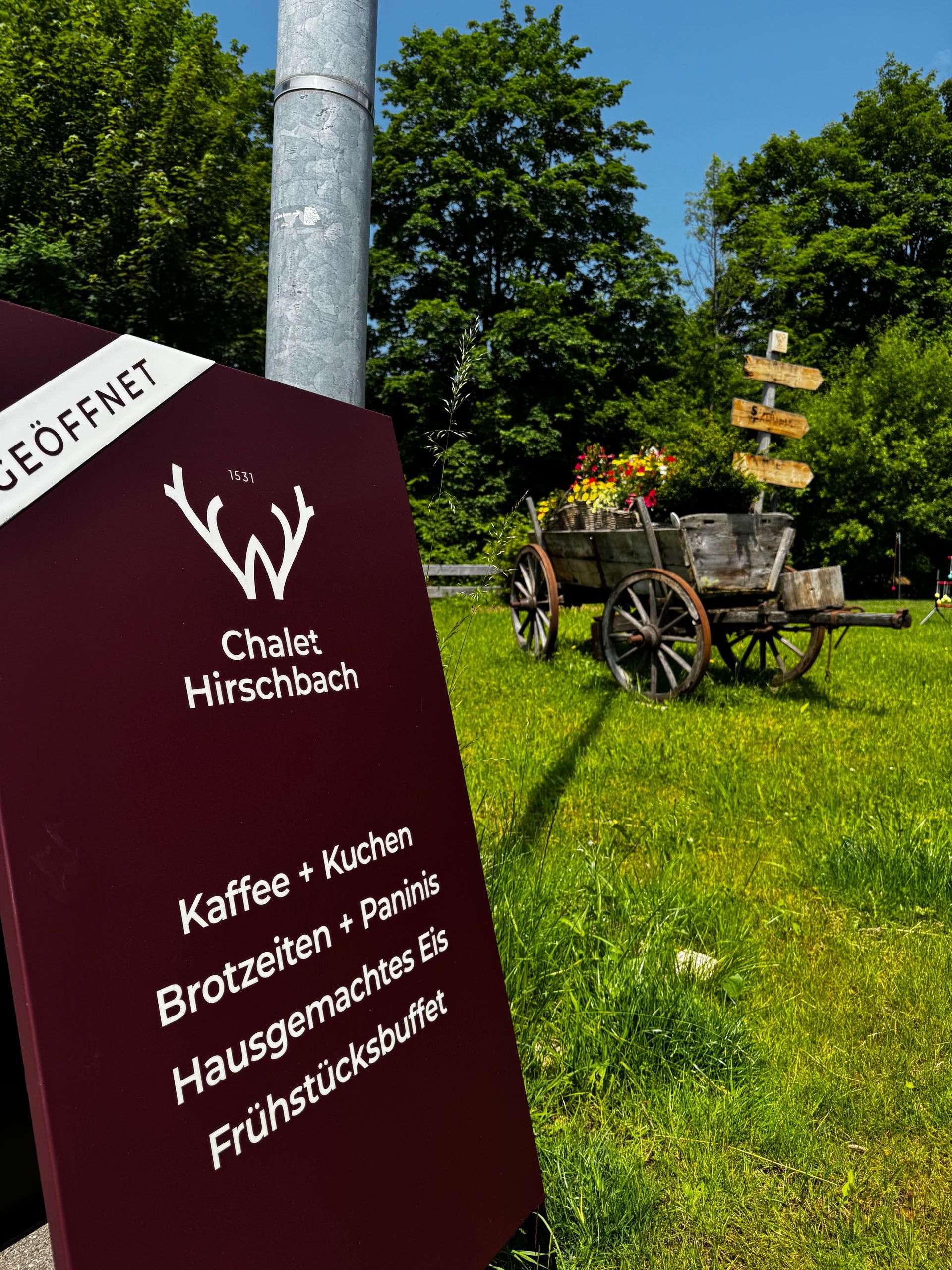 Offen für Genießer: : Kaffee, Kuchen, Paninis, Eis & Frühstück – mitten im Grünen genießen