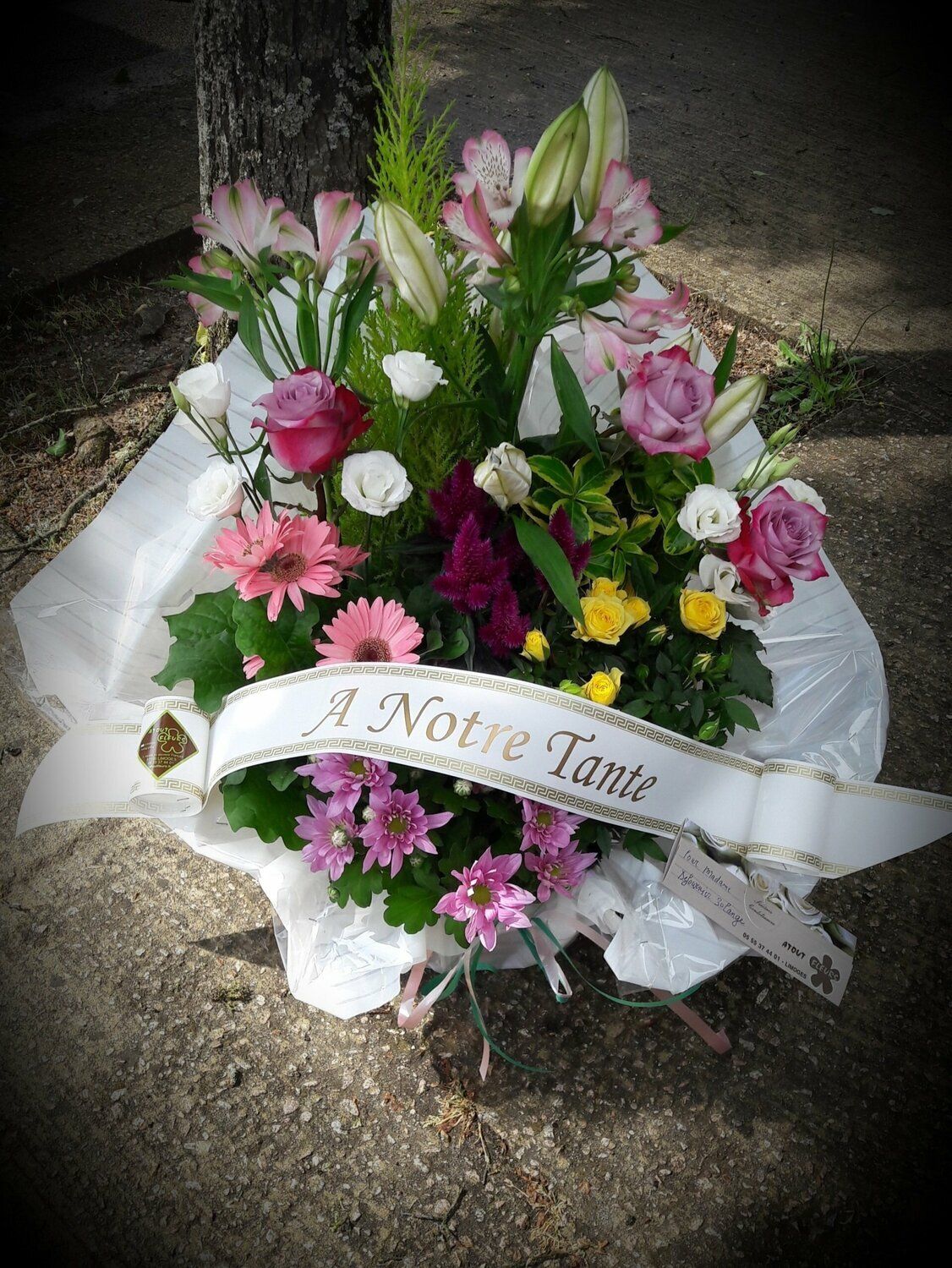 Coupe de plantes pour l'extérieur