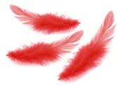 Logo-Créations Plumes Rouges