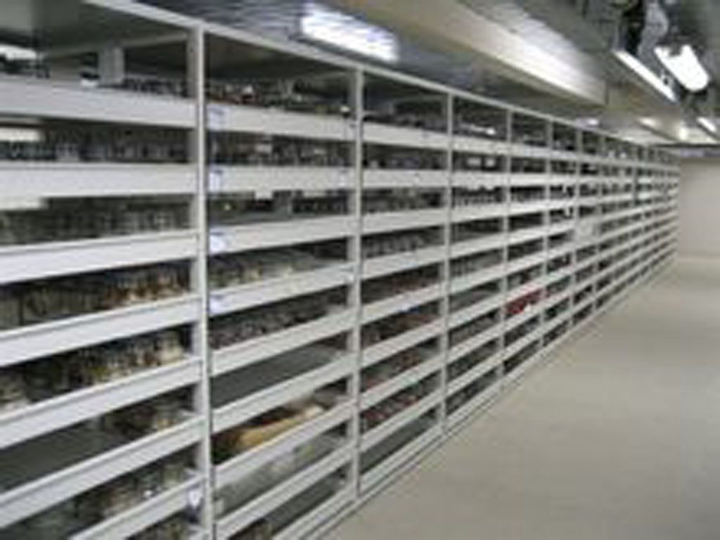 Museums Einrichtung - Gjergjaj Montagen