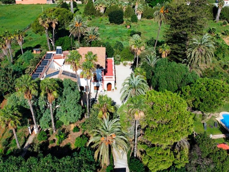 Una vista aérea de una casa rodeada de palmeras.