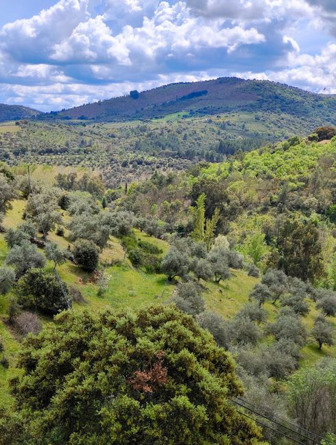 Colinas verdes onduladas salpicadas de árboles bajo un cielo nublado.