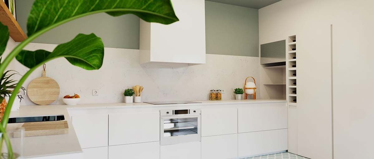 Cocina blanca con acento de pared verde, gabinetes blancos y una gran planta de hojas verdes en primer plano.