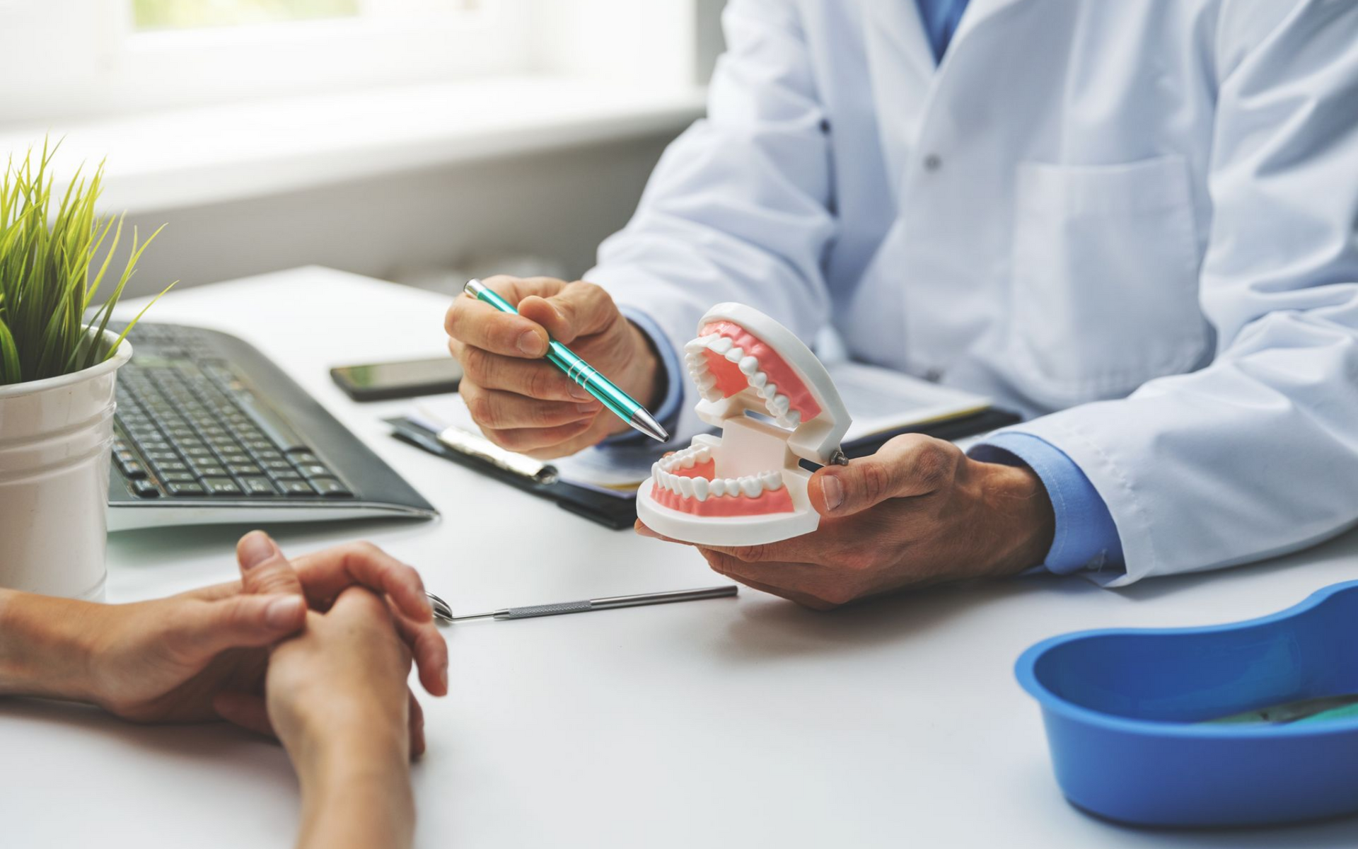Dentiste montrant un modèle dentaire à un patient ; cadre de bureau.