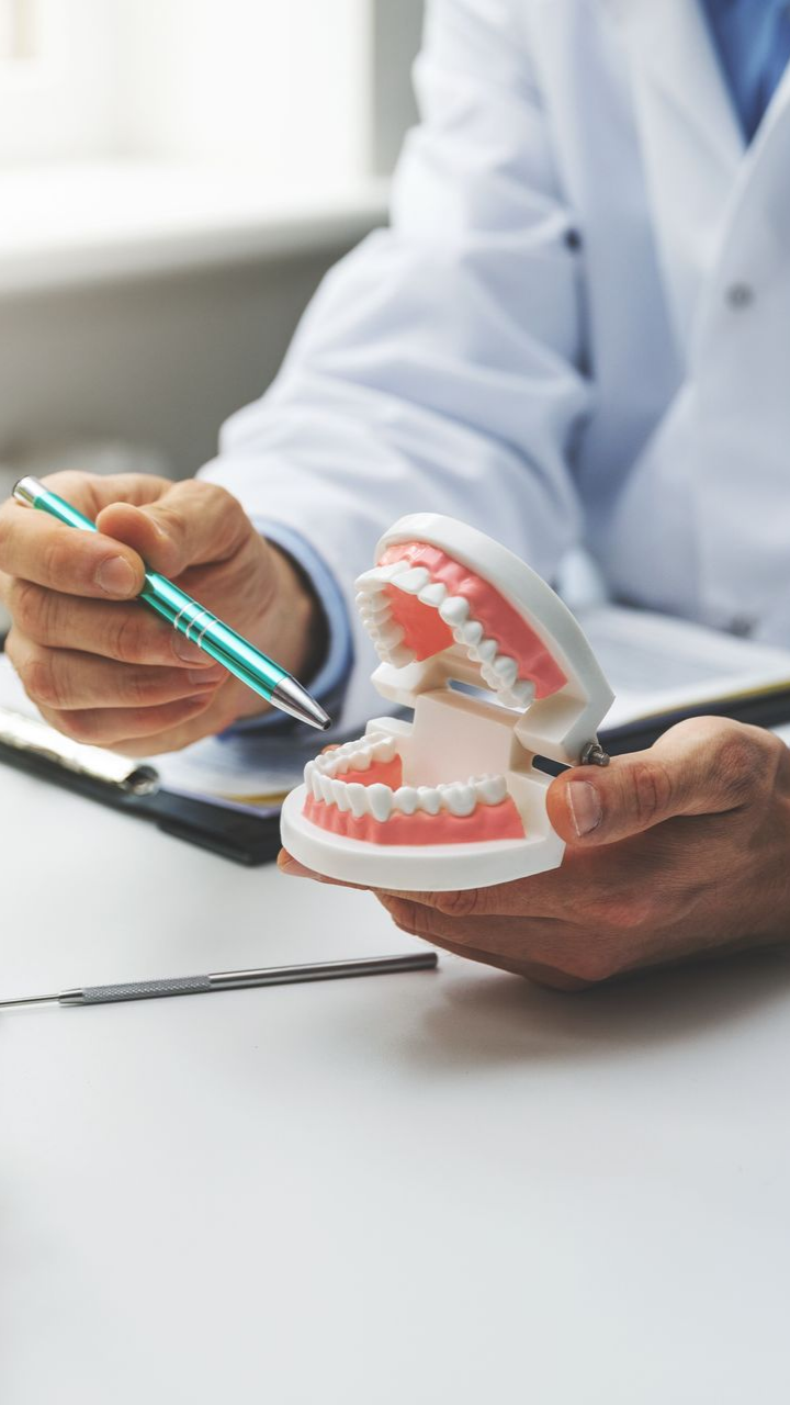 Dentiste montrant un modèle de dents, expliquant la procédure dentaire.