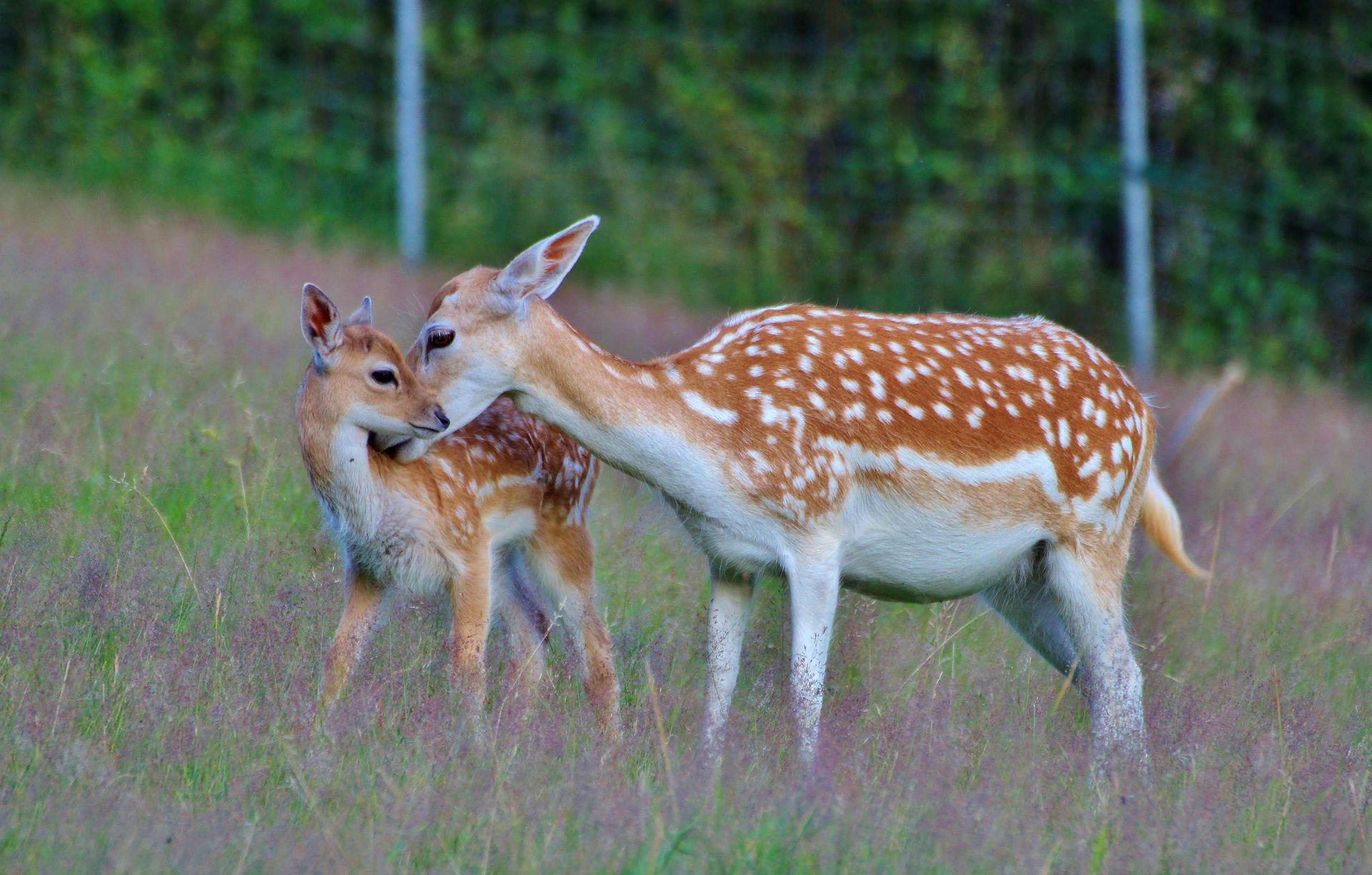 Erlebnisland Kegelsberg