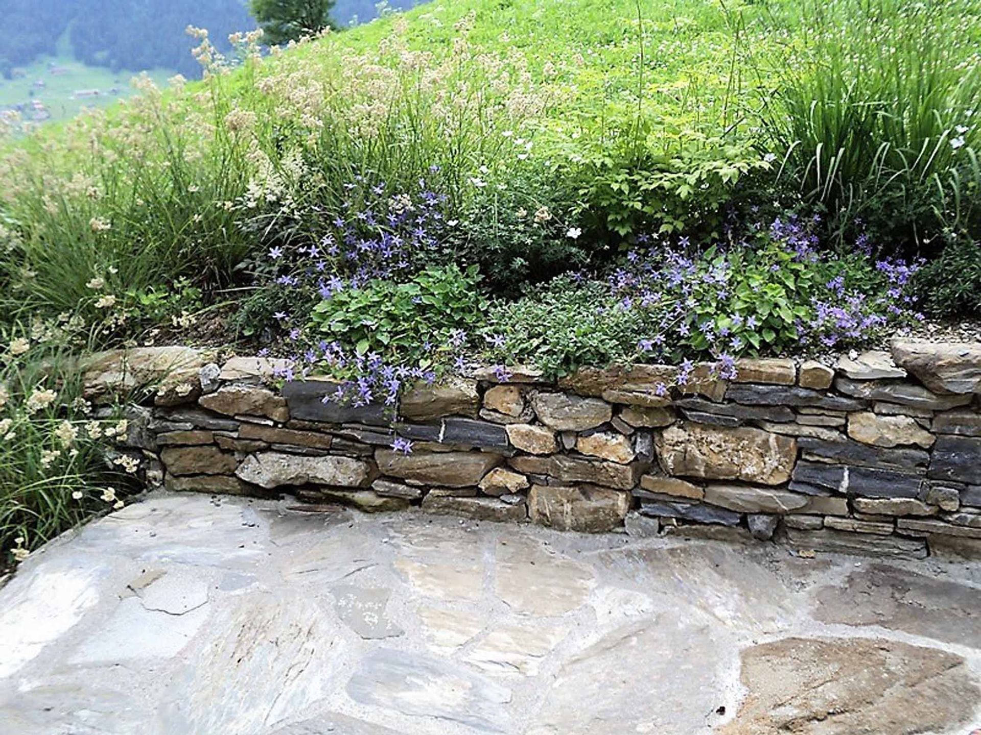 Bepflanzung - Bowee Gartenbau AG