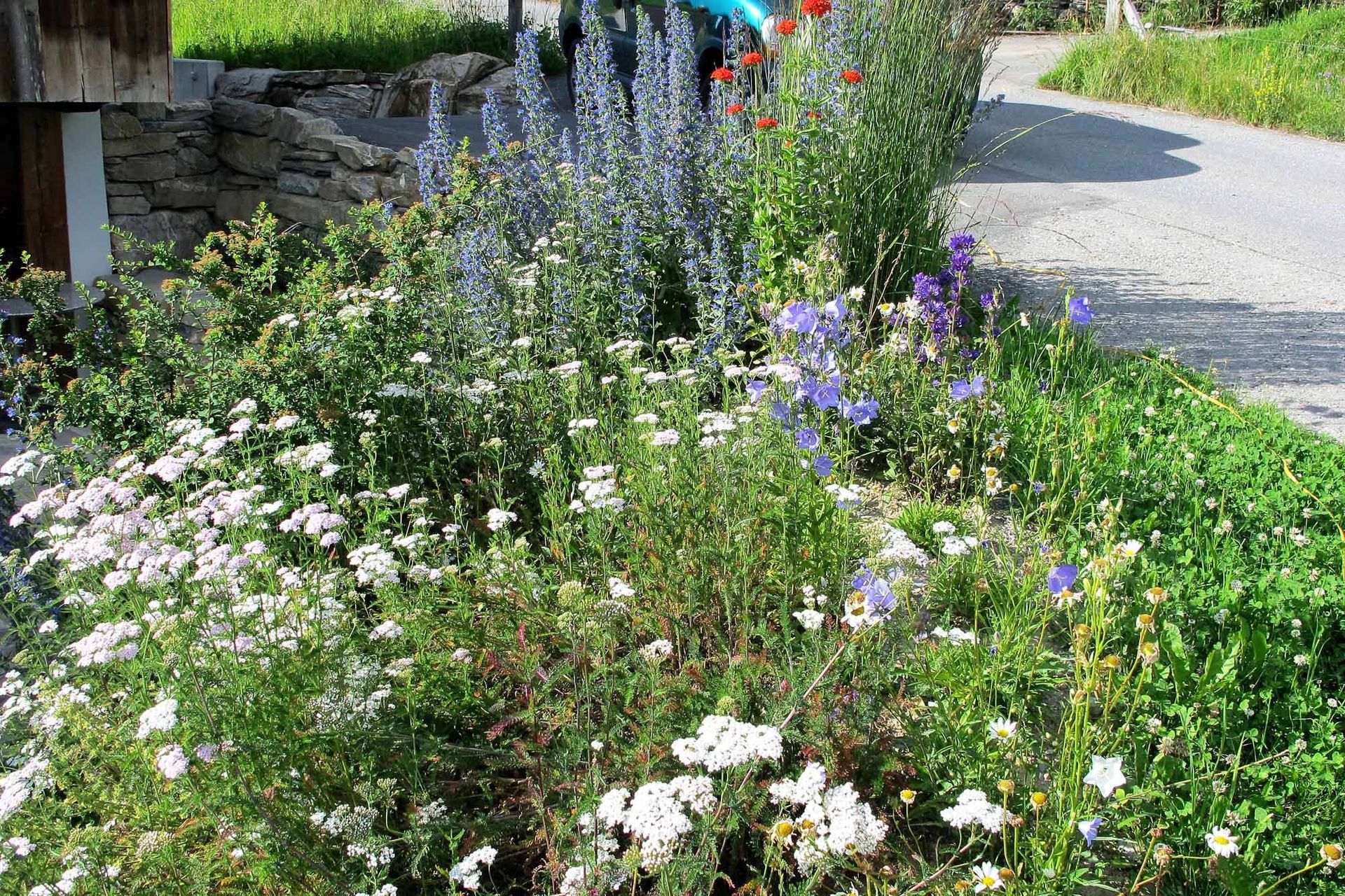 Bepflanzung - Bowee Gartenbau AG