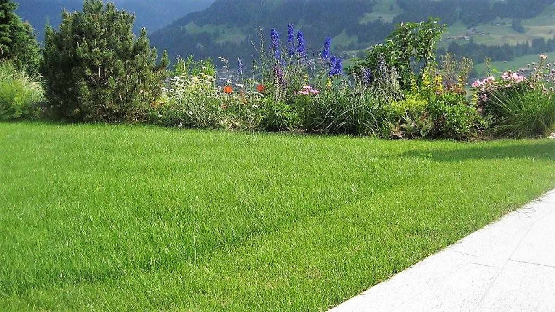 Bepflanzung - Bowee Gartenbau AG