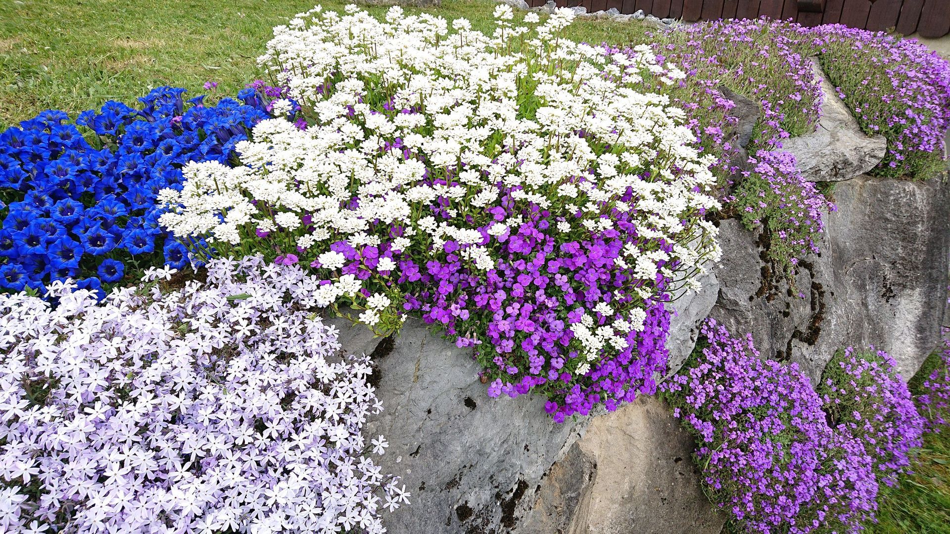 Bepflanzung - Bowee Gartenbau AG