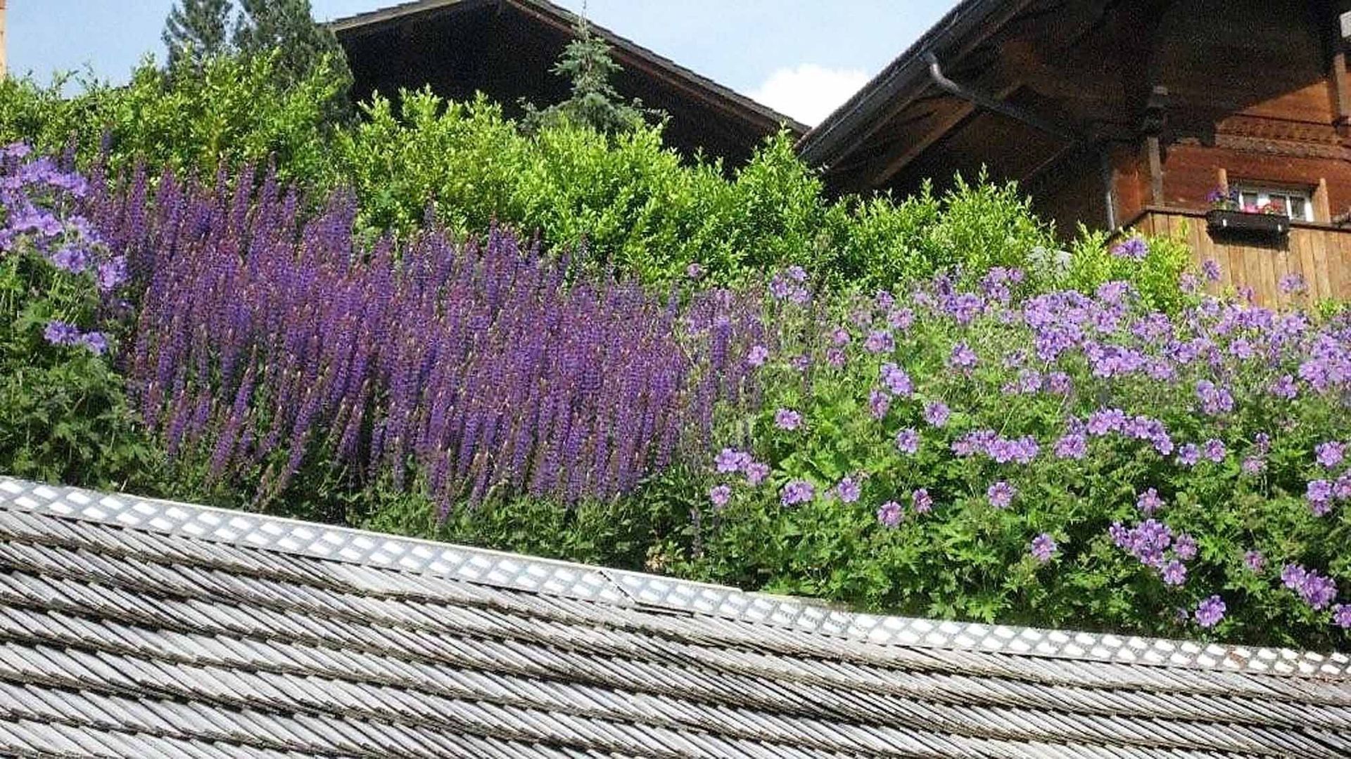 Bepflanzung - Bowee Gartenbau AG