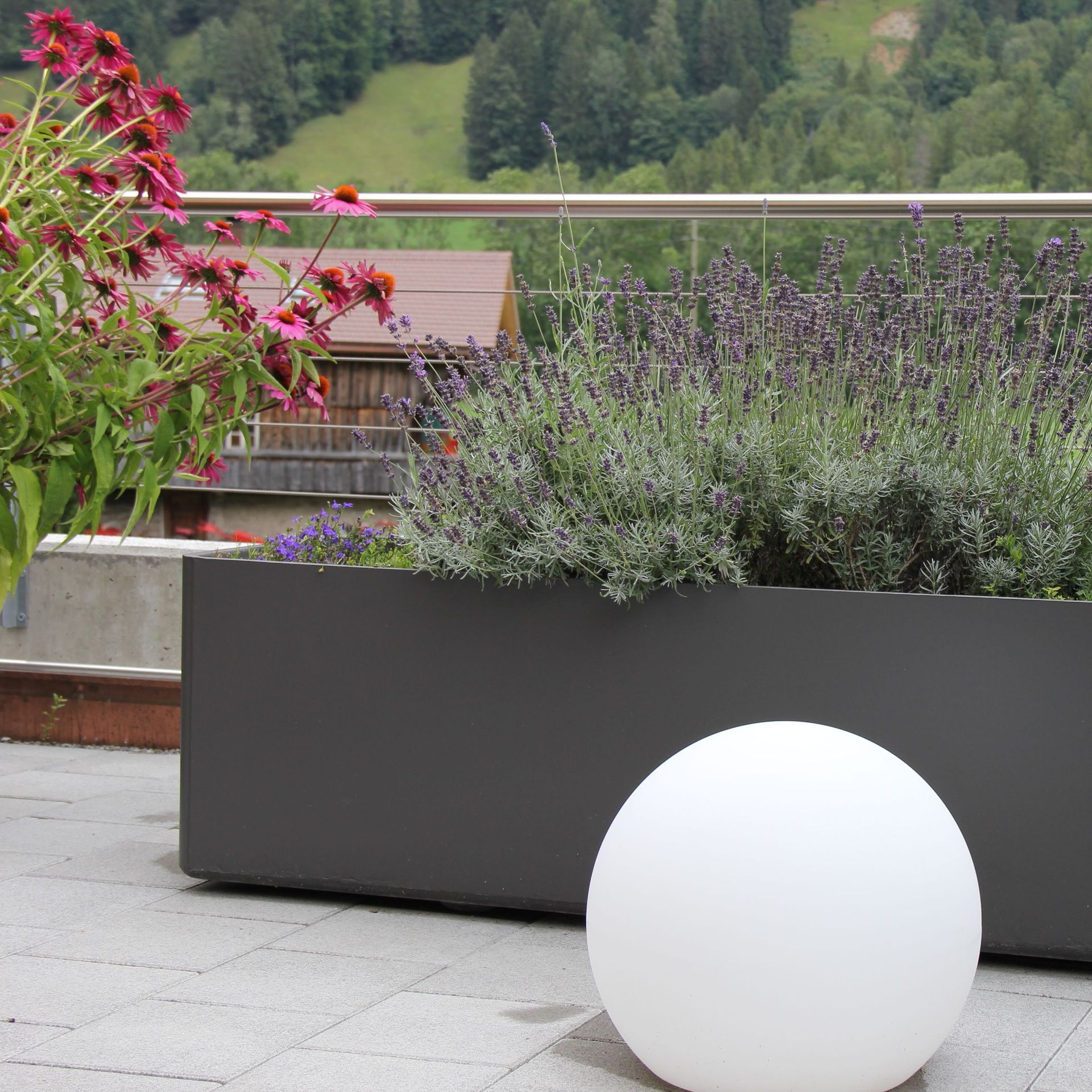 Terrassen-Bepflanzung Bowee Gartenbau AG