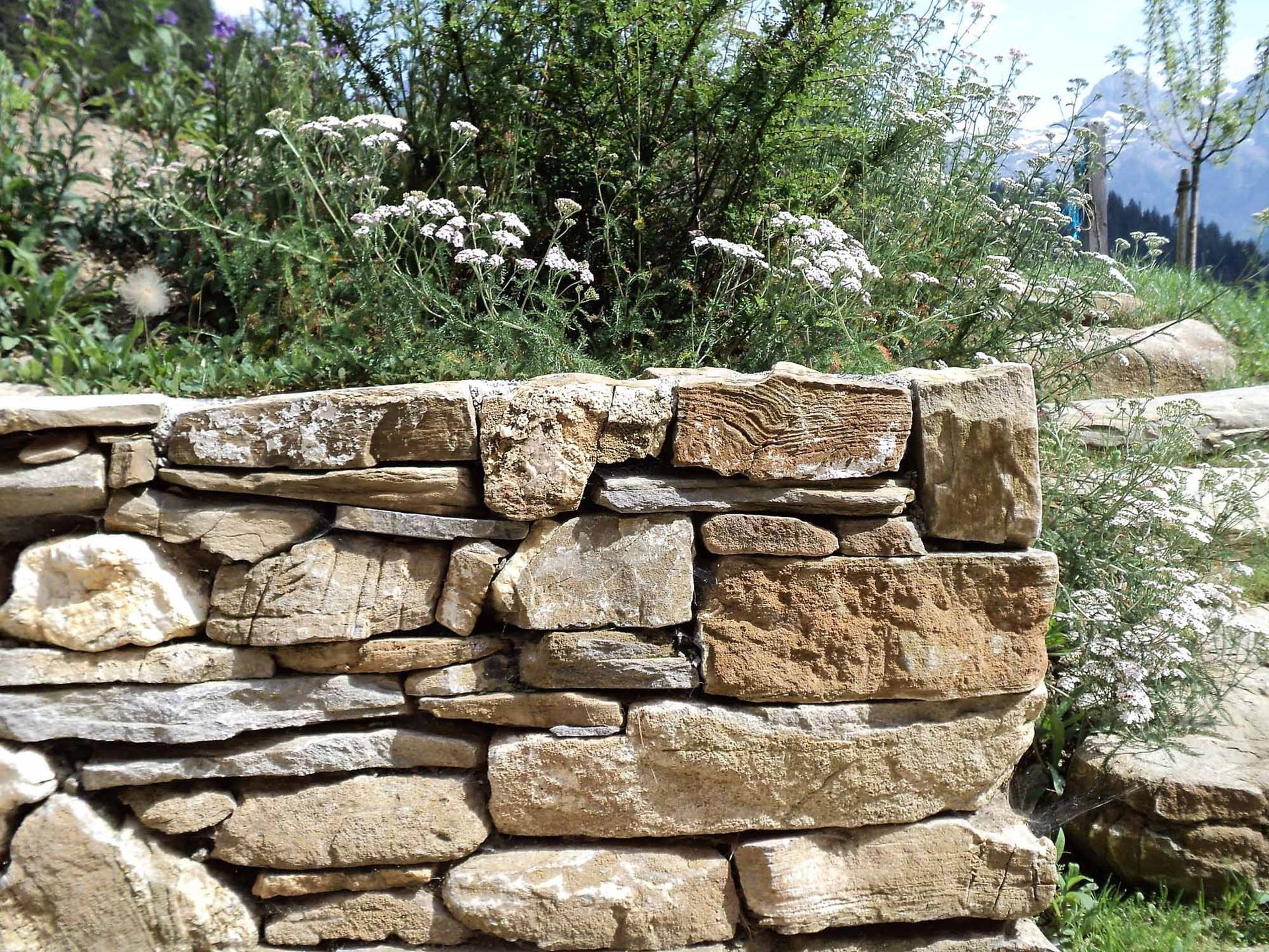 Natursteinmauer - Bowee Gartenbau AG