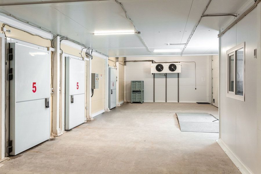Una habitación grande con muchas puertas y ventanas.