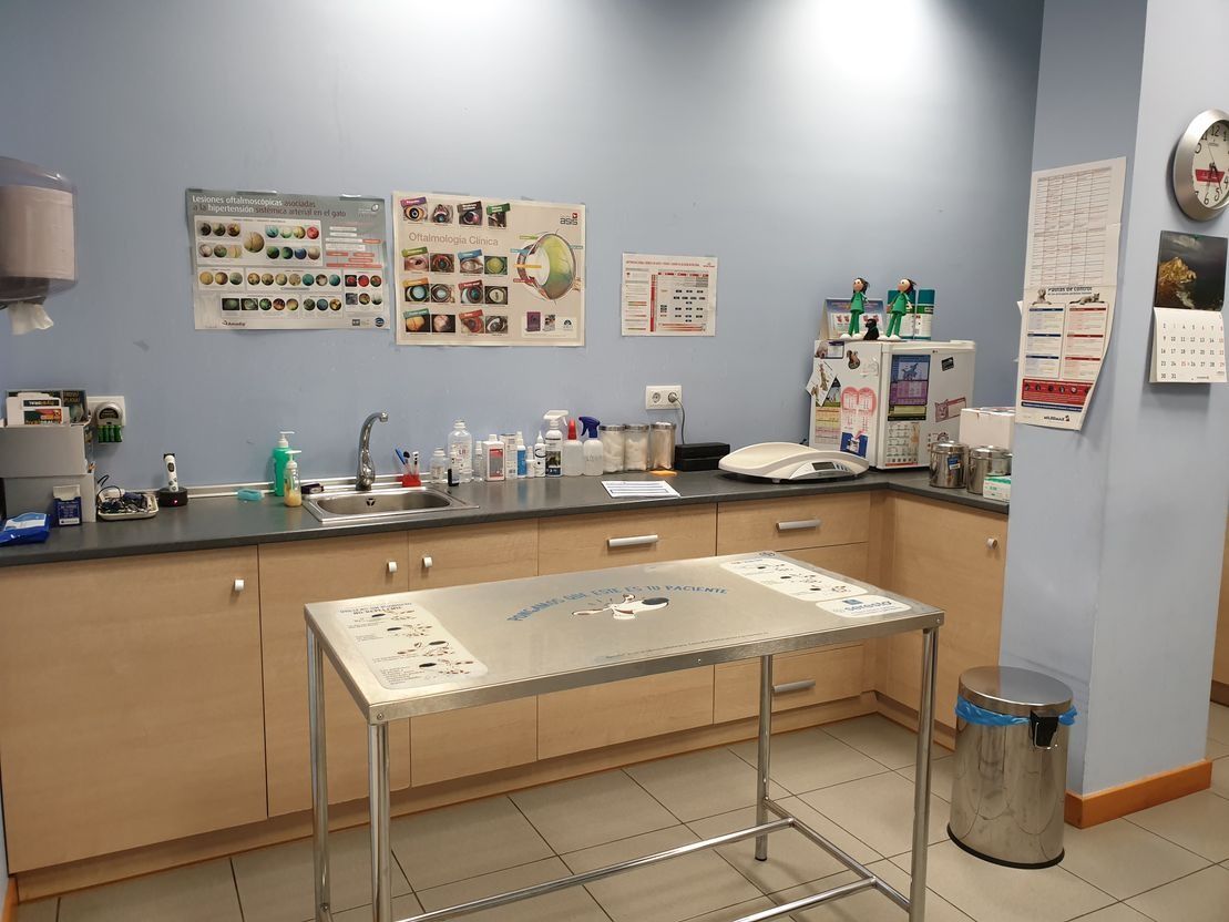 Un consultorio veterinario con una mesa de acero inoxidable y un fregadero.
