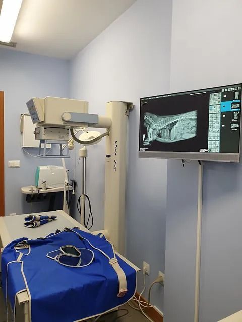 Una habitación con una cama y un monitor con la imagen de un perro.
