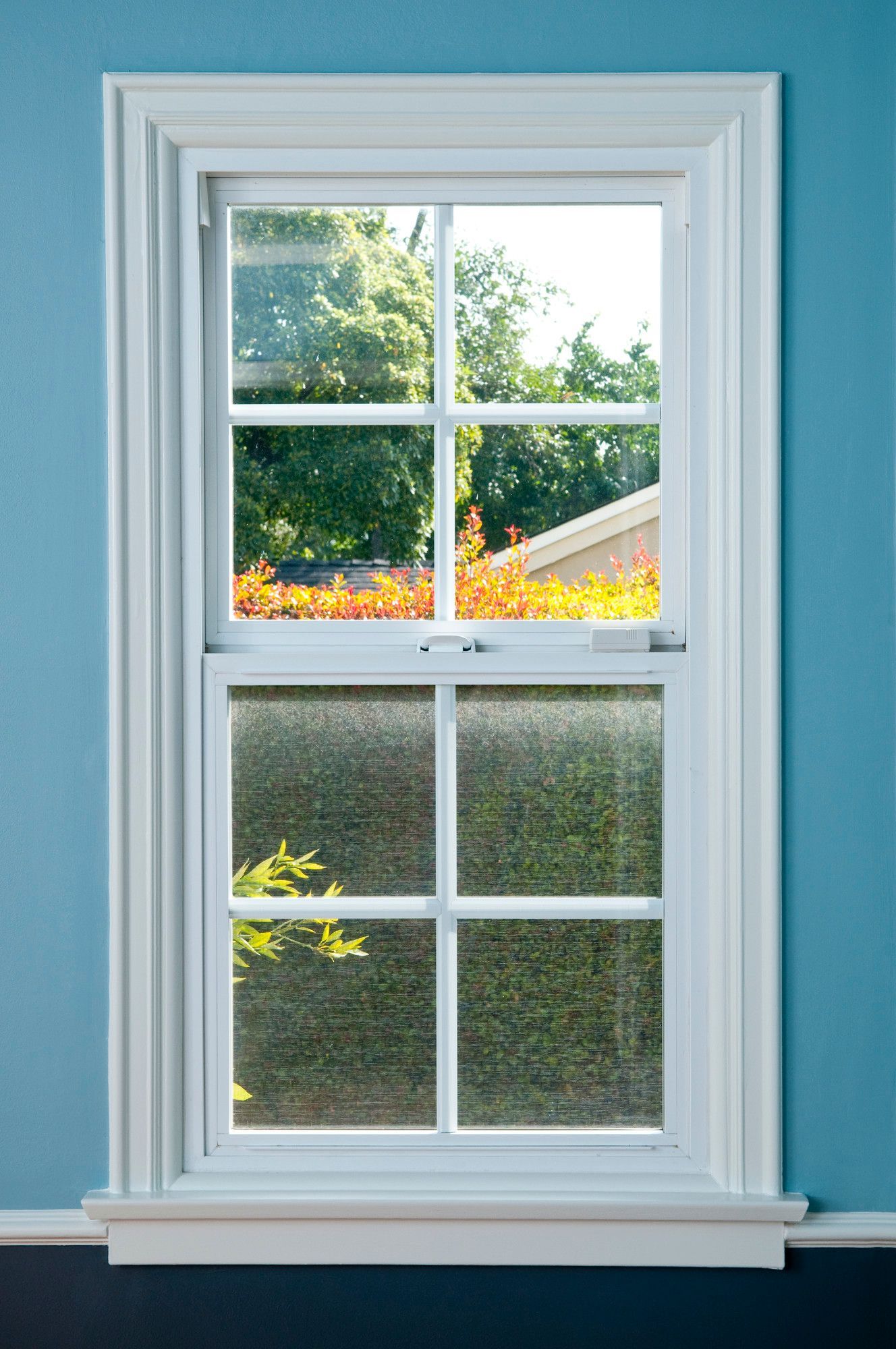 Fenêtre blanche à six carreaux, adossée à un mur bleu avec un aperçu de verdure à l'extérieur.