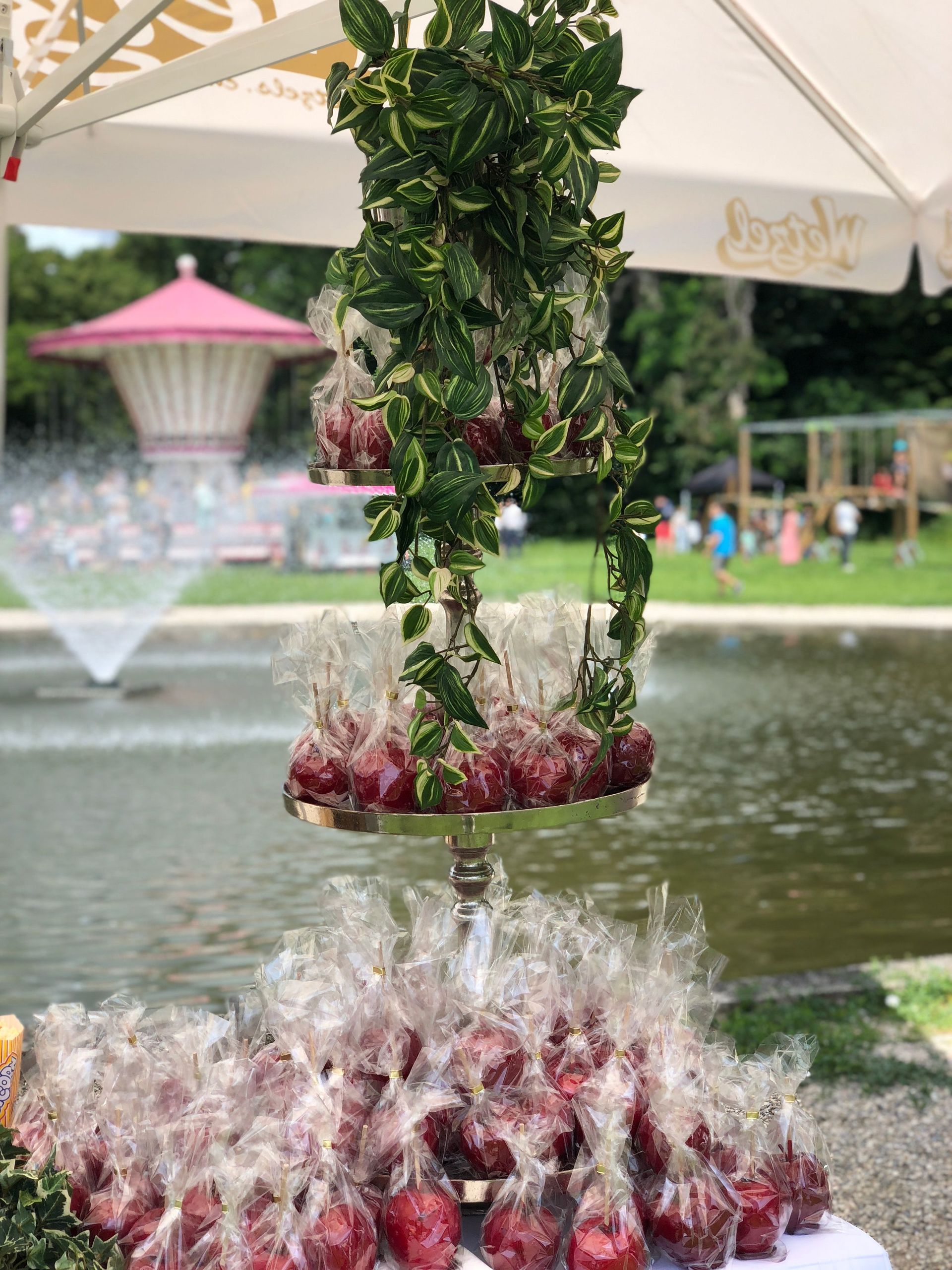 Manèges. attractions à Genève - Wetzel Reynald Forain	