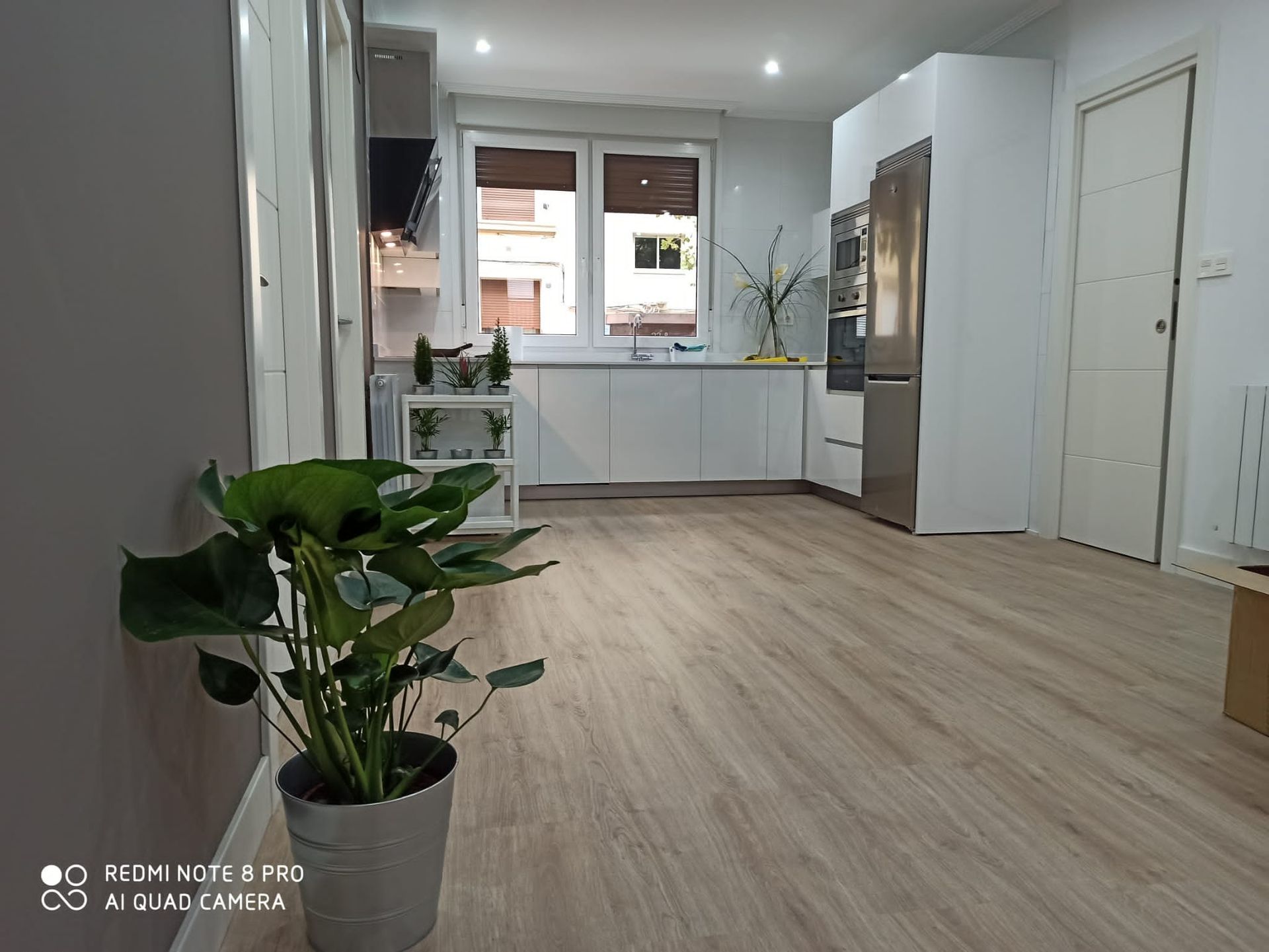 Cocina de concepto abierto con gabinetes blancos, electrodomésticos de acero inoxidable, pisos con apariencia de madera y una gran planta en maceta.