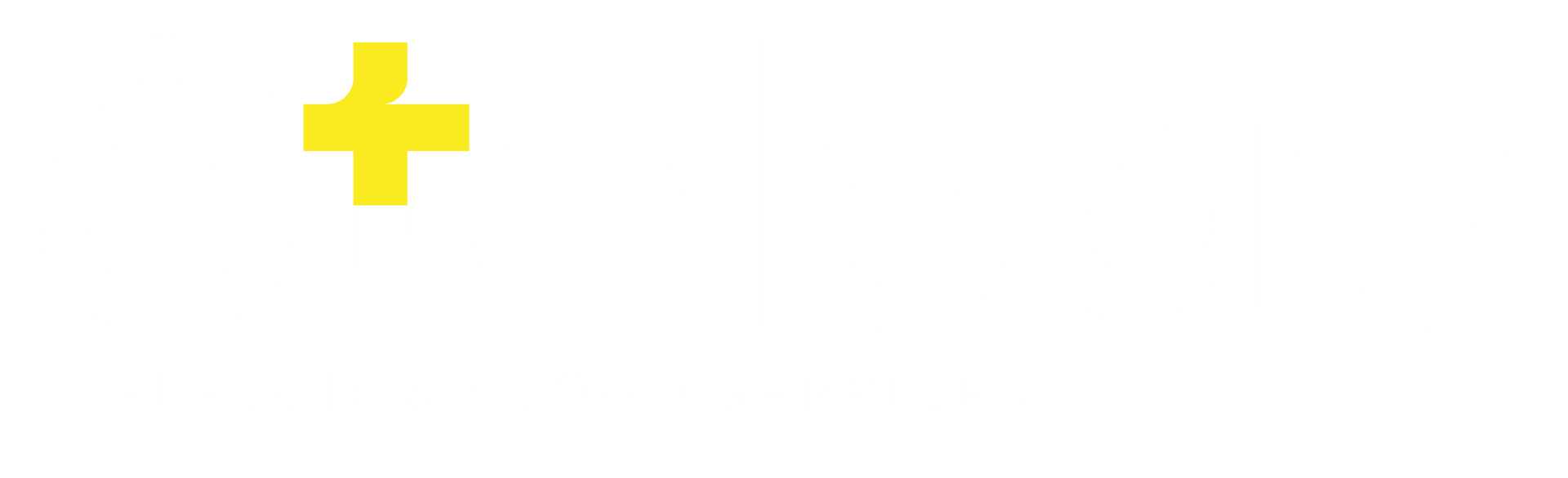 Logo Stelogy