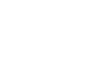 Logo AIA