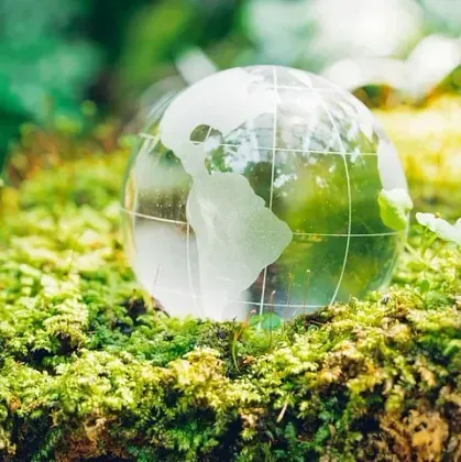 Globo de cristal con continentes esmerilados que descansan sobre musgo verde.