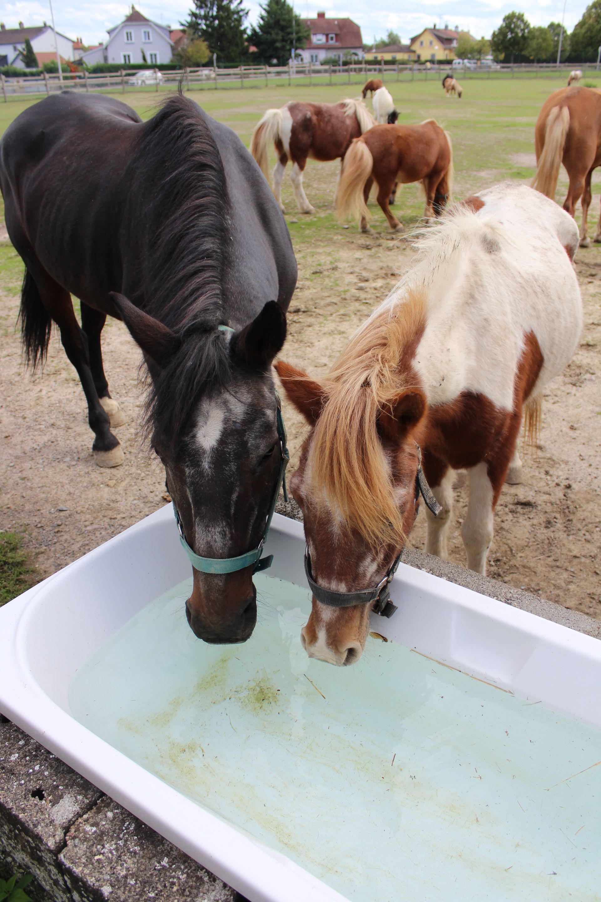 Vers la page Don et mécénat