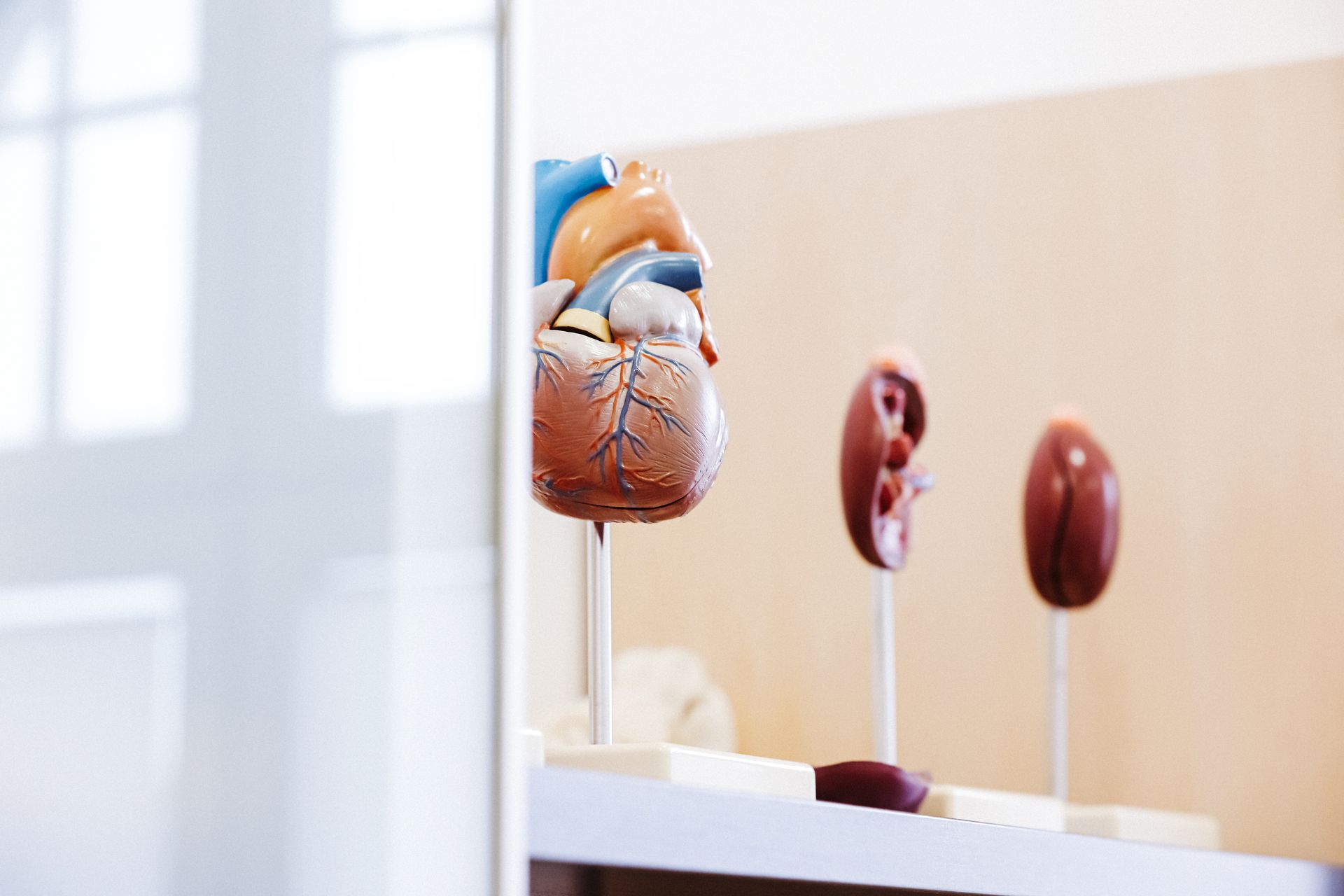 Eine Person benutzt ein Ultraschallgerät und tippt auf einer Tastatur. Dr. med. Claus-Peter Pack