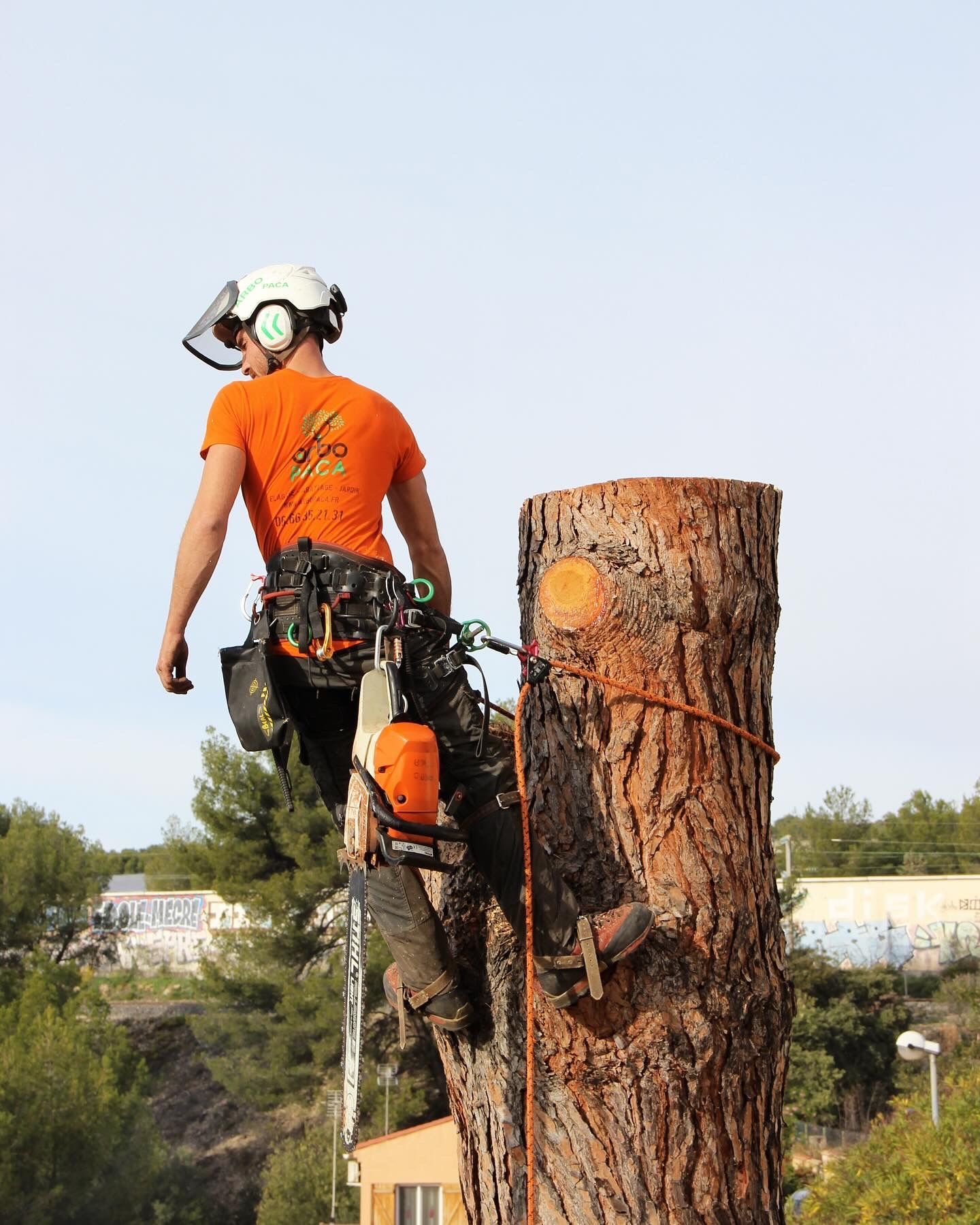 Un homme en haut d'un tronc coupé
